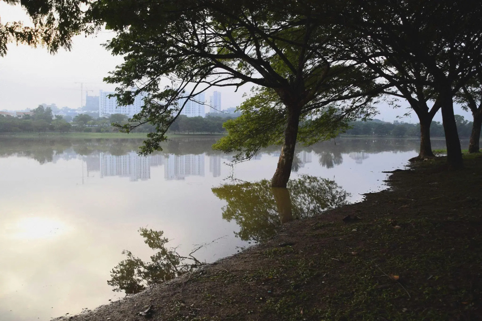 Setia Inn Suites Service Residence