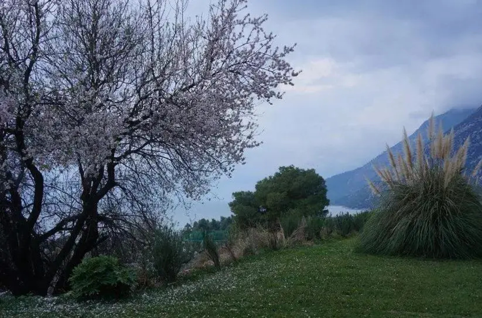 Pantheon Hotel & Suites