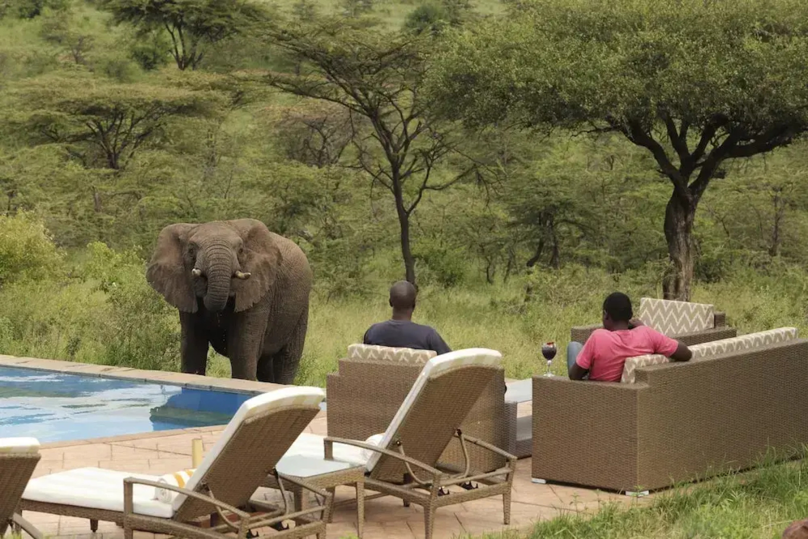 Spirit Of The Masai Mara