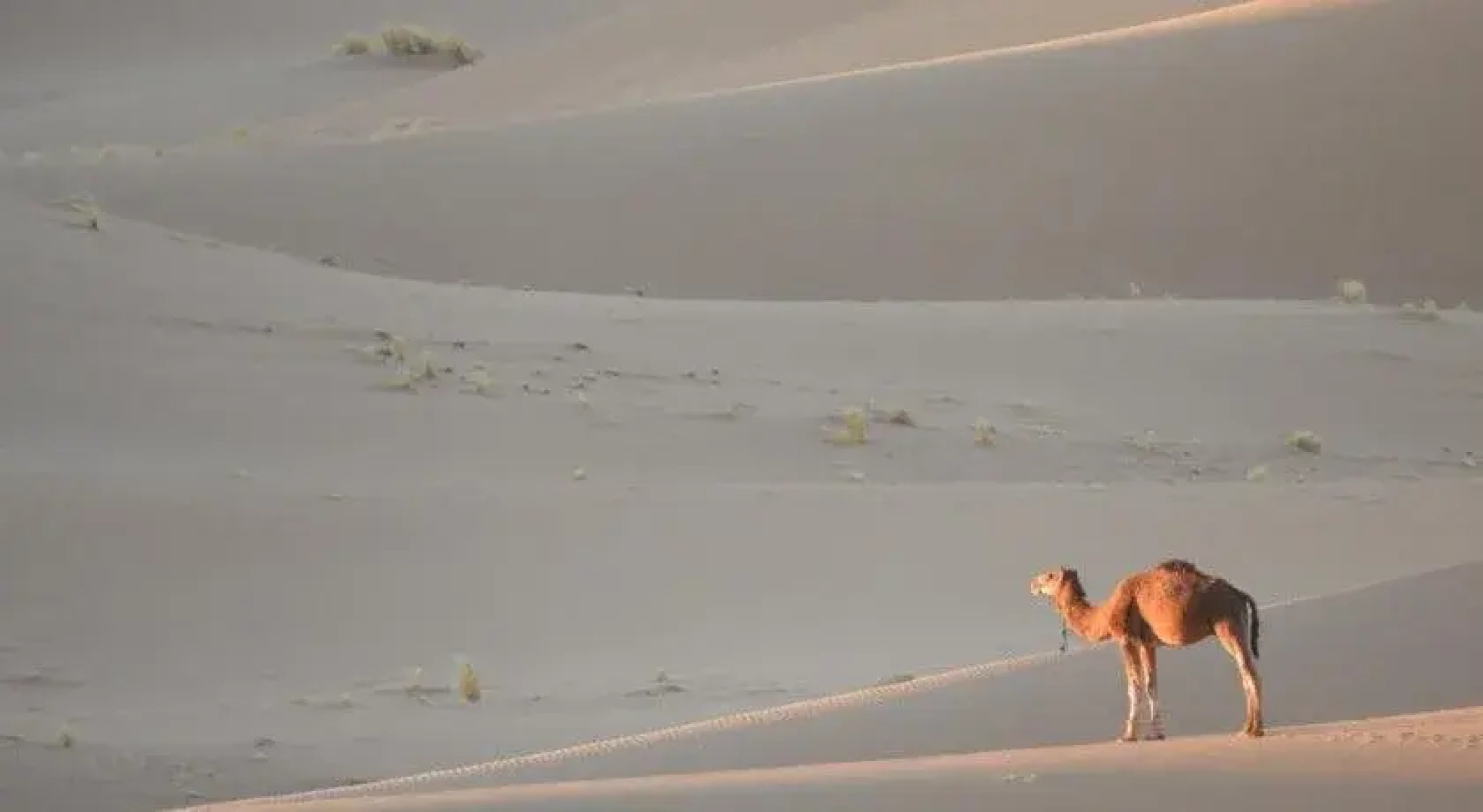 Carrefour des Nomades