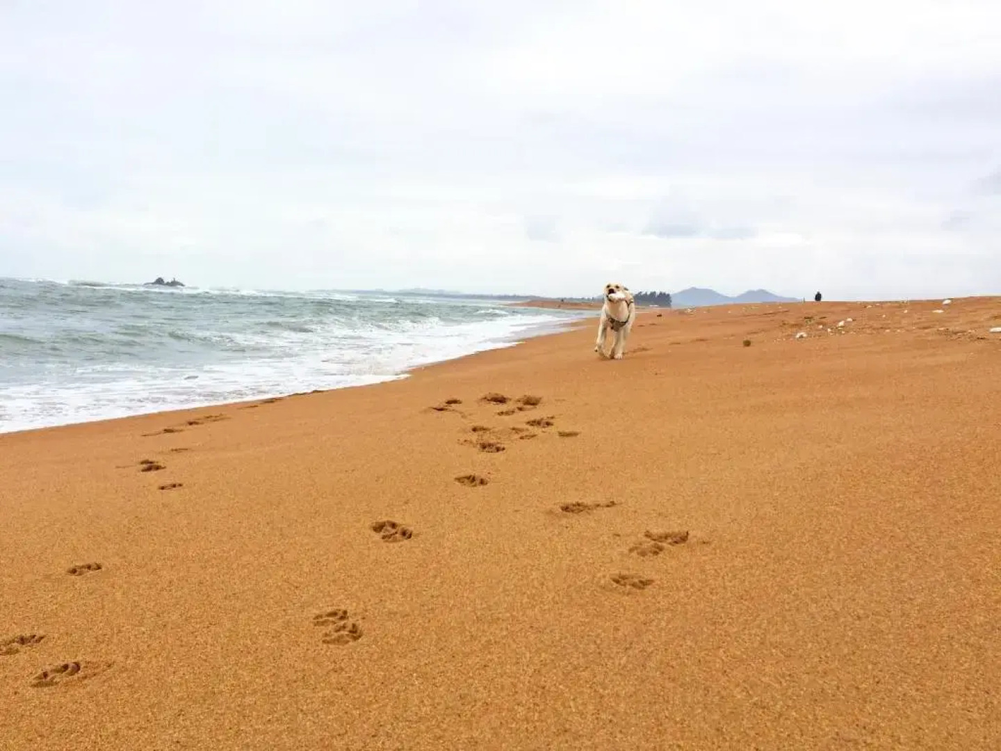 Boao Captain Vegetarian B&B