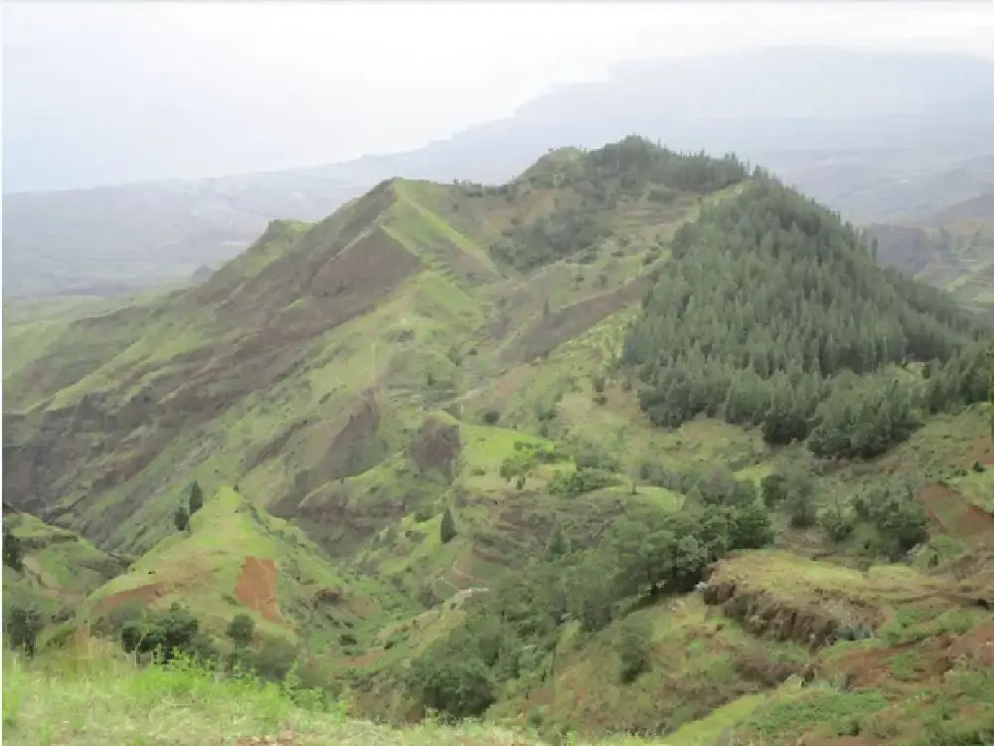 Biosfera Amor do dia