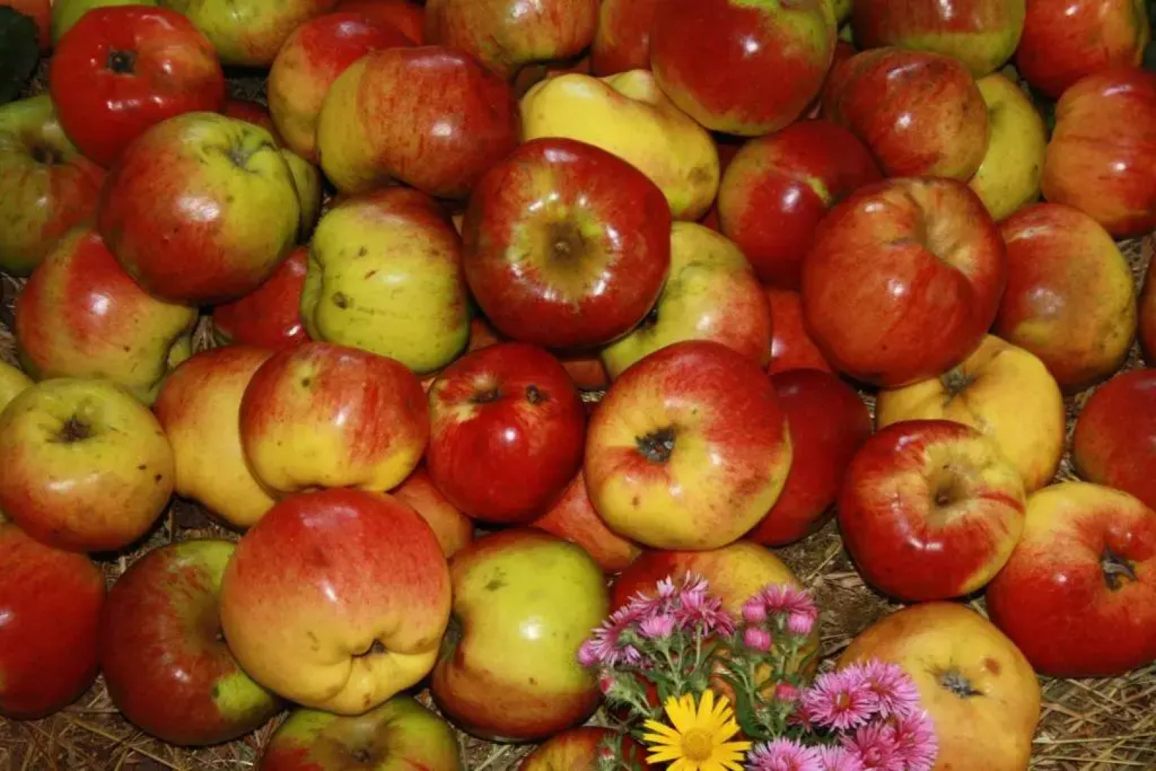 Albergo Diffuso Faller