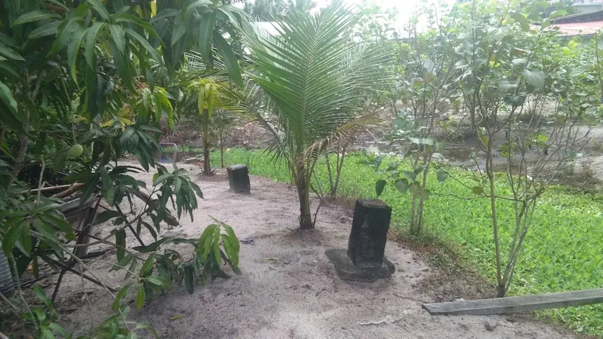 YC Chalet Roomstay Lekir