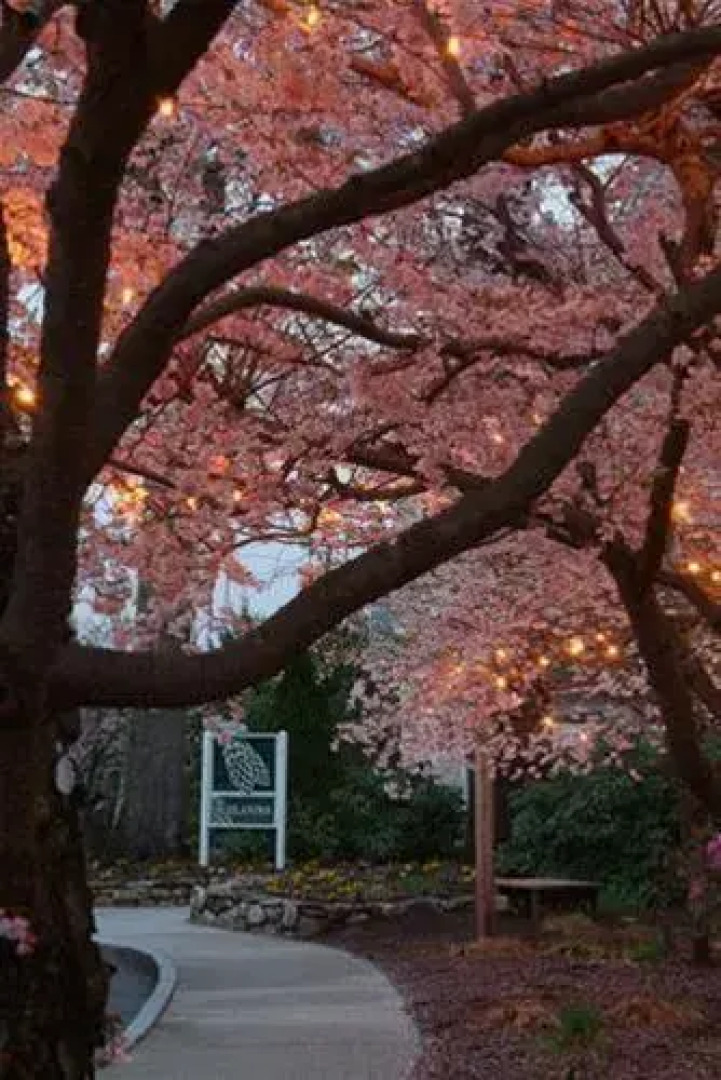 The Highlander Inn Manchester Airport