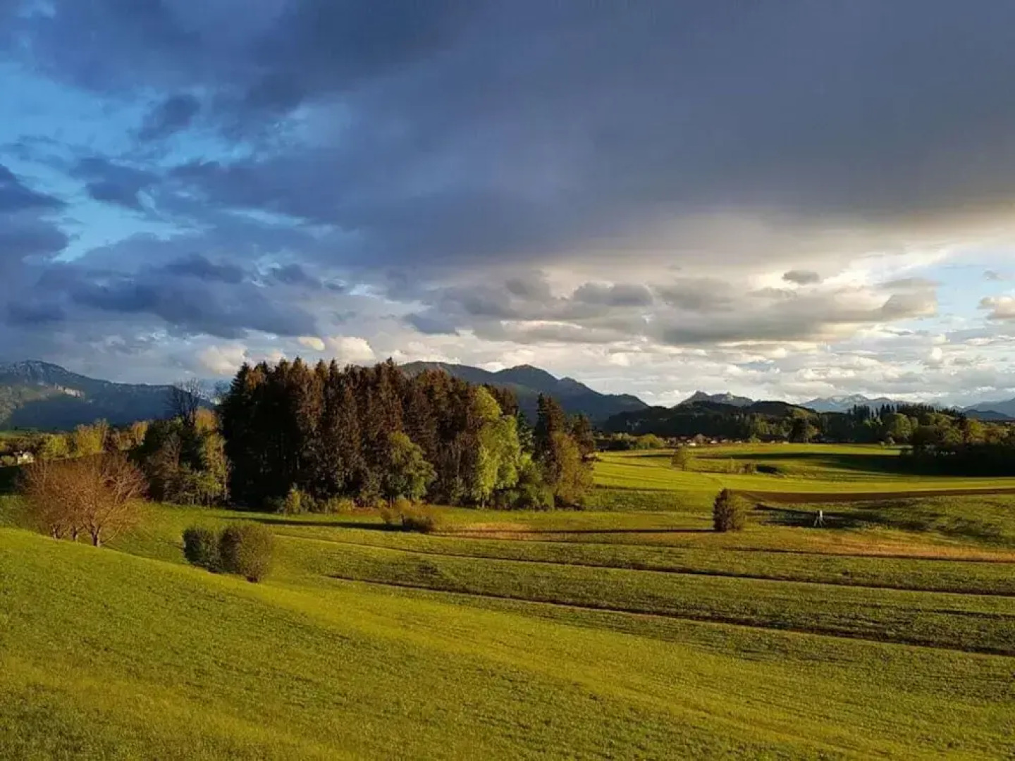 Mountain View Comfortable Holiday Residence