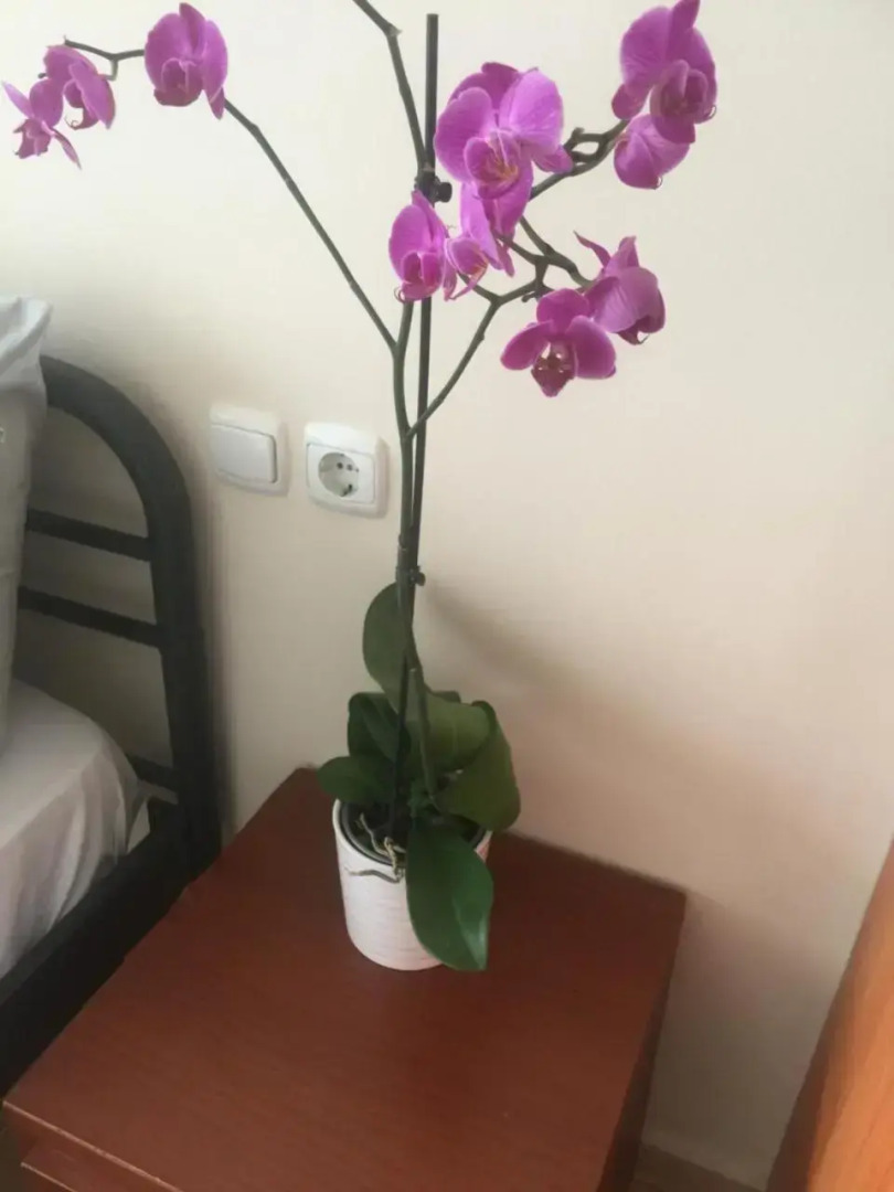 Studio by the train station