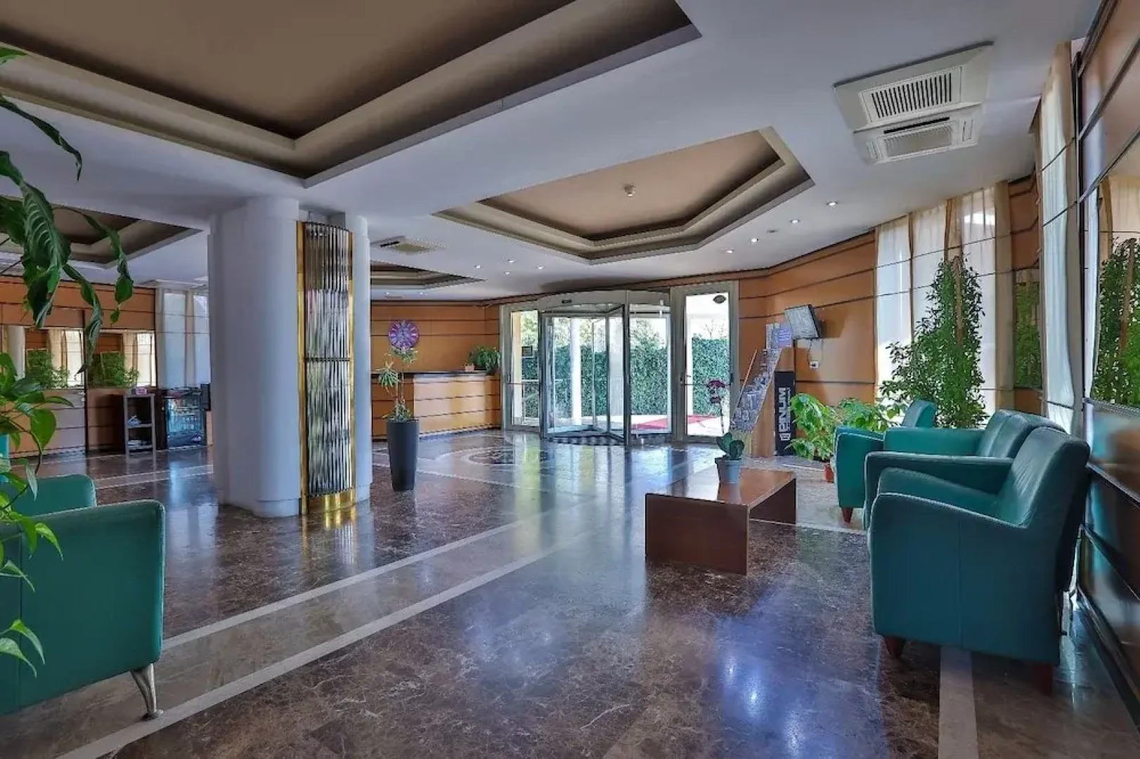 Wild Orchids of Bucharest