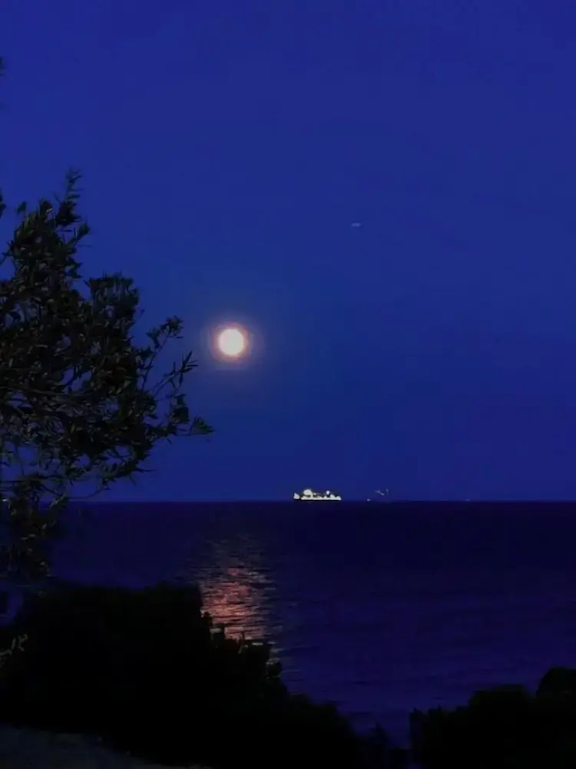 Kavos Bay Seafront Hotel