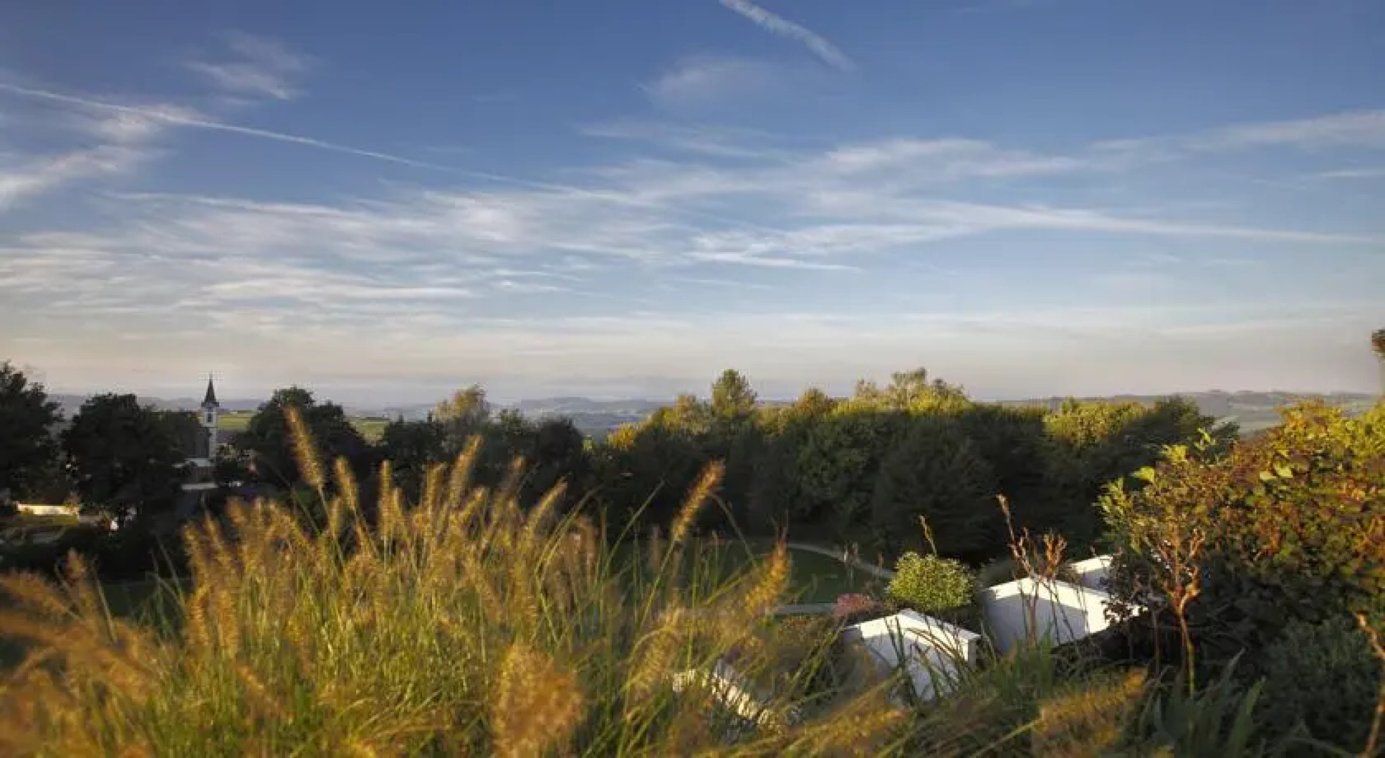 1. Zentrum für Traditionelle Europäische Medizin