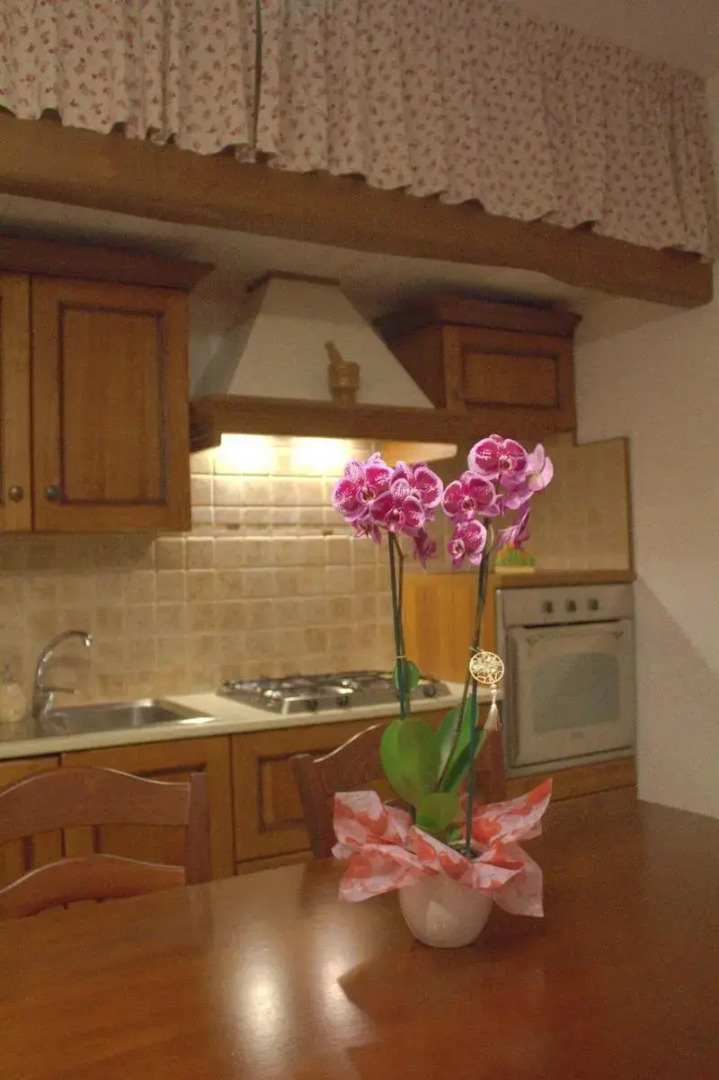 La Rosa dei Trulli B&B