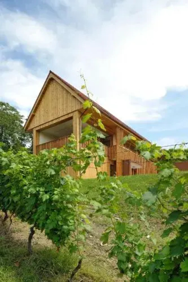 Wine & Tourisam Valdhuber Apartments