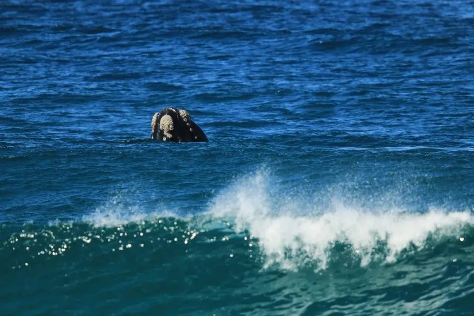Lakeside Cabins & Holiday Village
