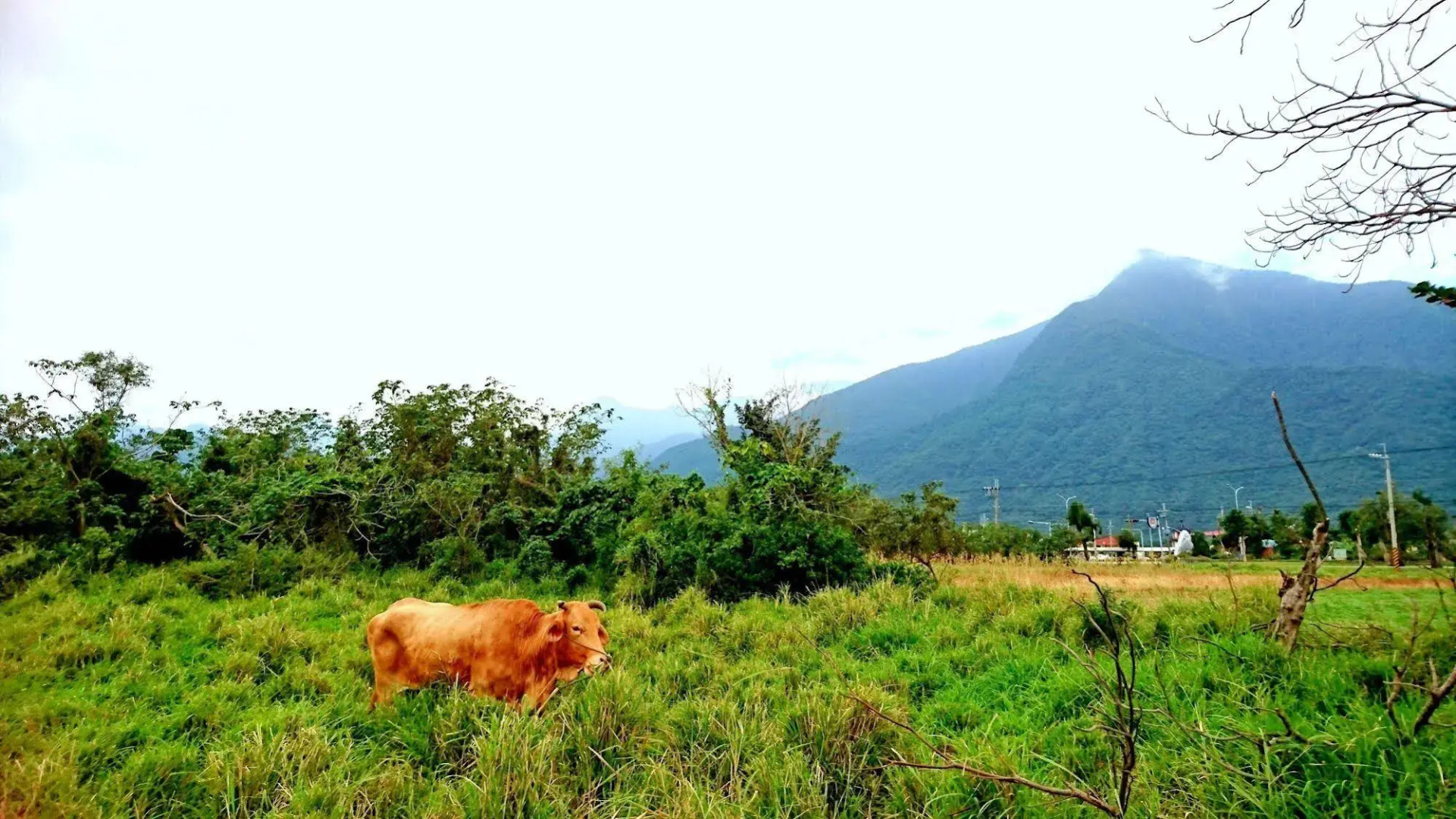 Marsu Xincheng SeaView Vegetarian B&B