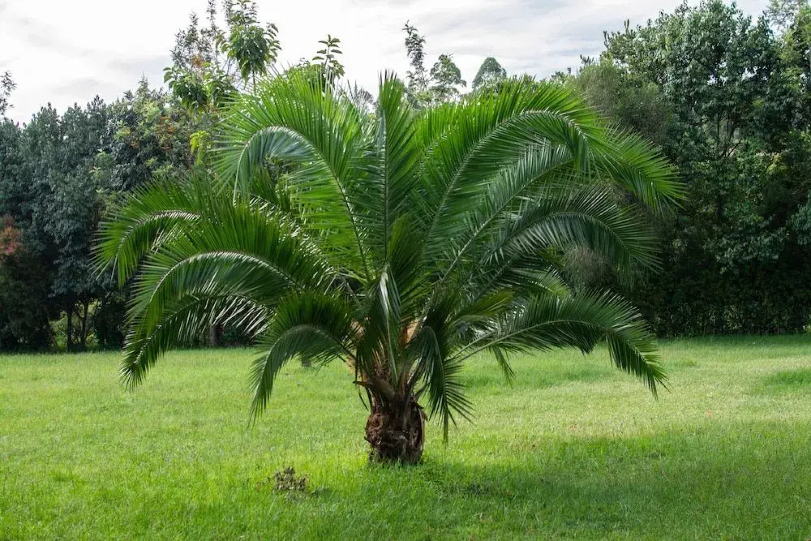 Kolol Riverside Resort