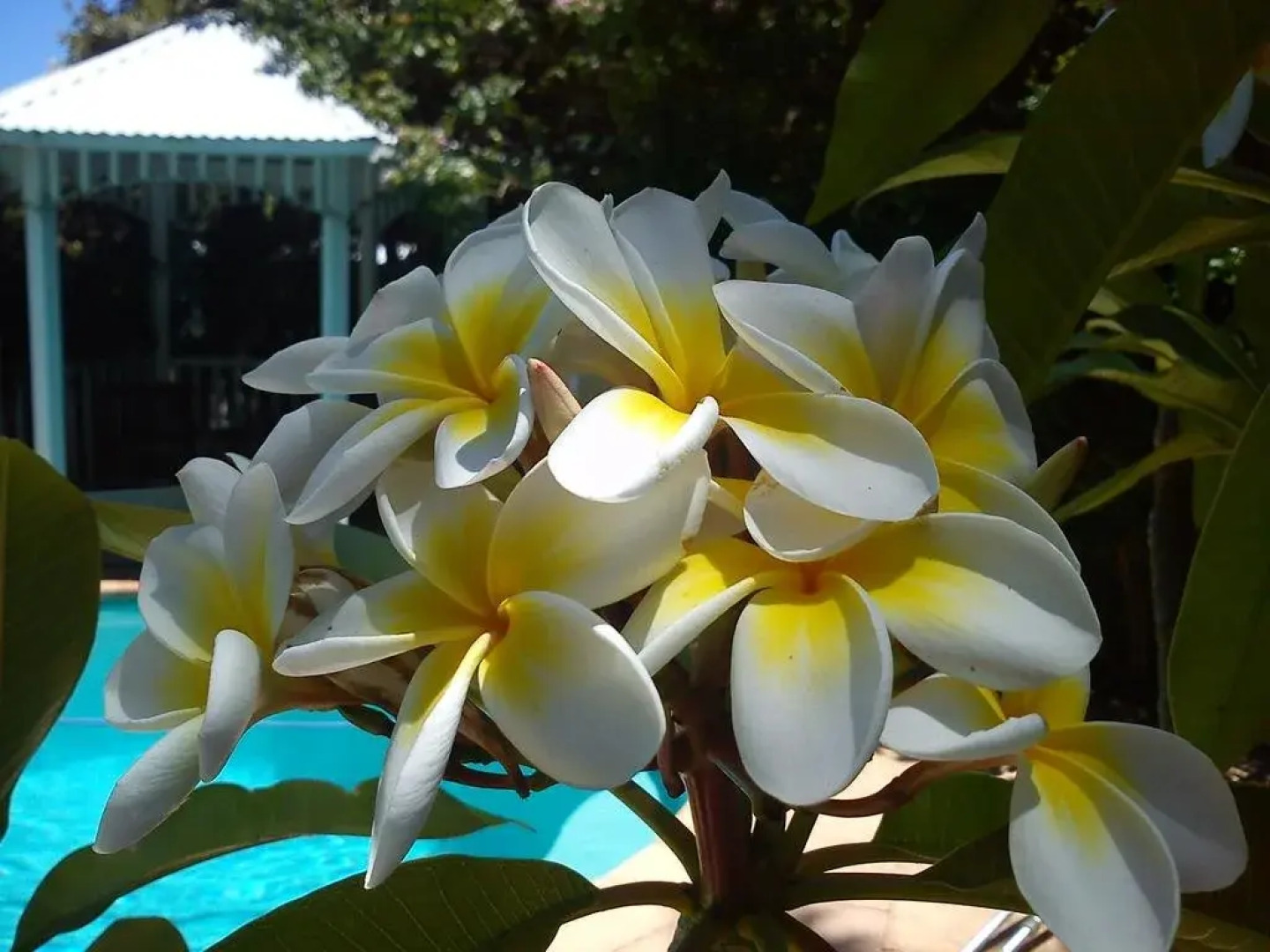 The Goody House Bed & Breakfast