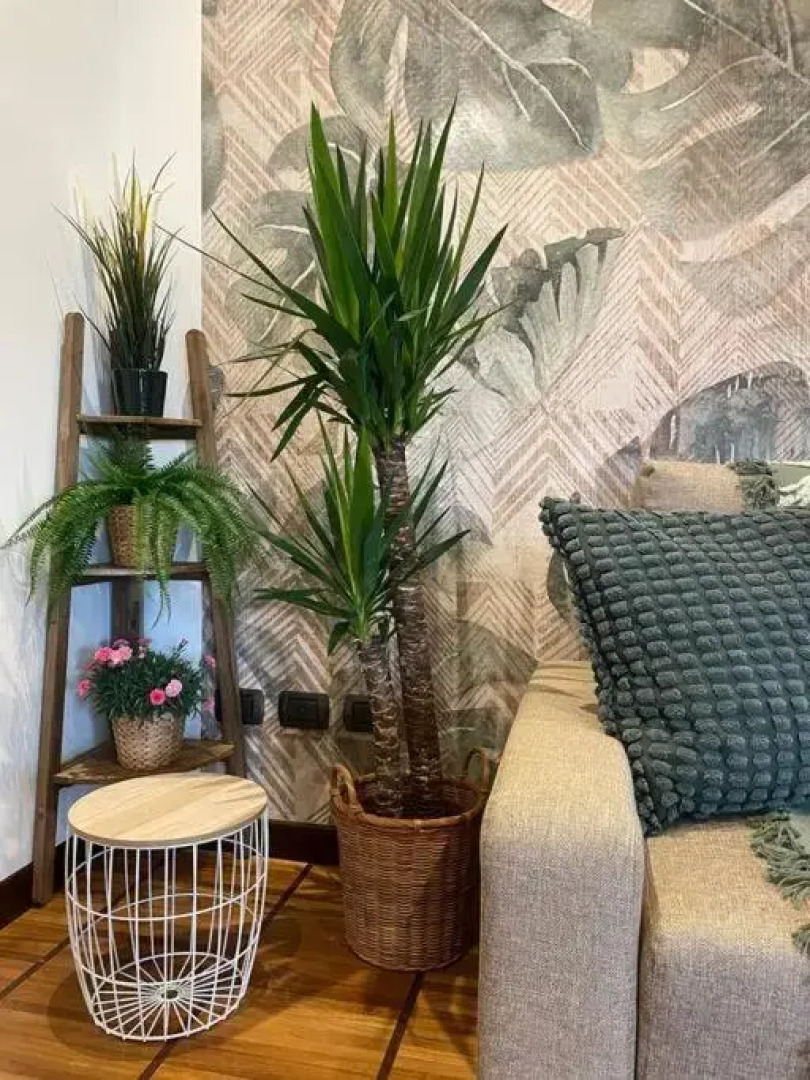 MY HUMBLE HOUSE: appartamento con vista lago e giardino uso esclusivo