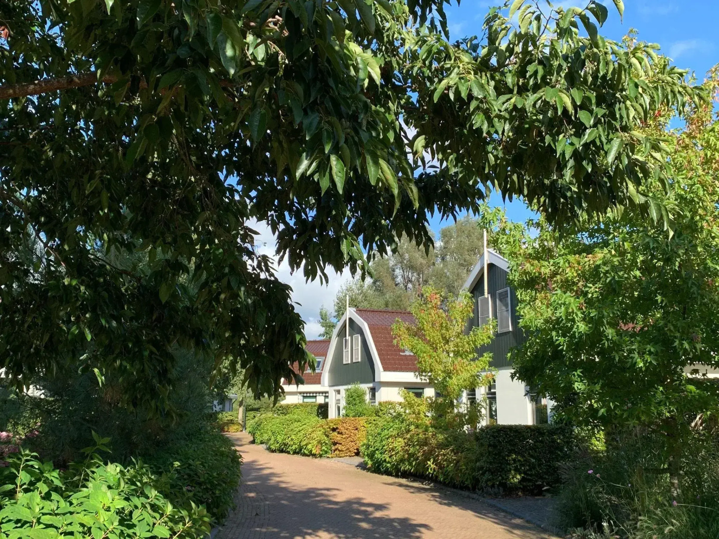 Nice Holiday Home With Dishwasher, in Schoorl