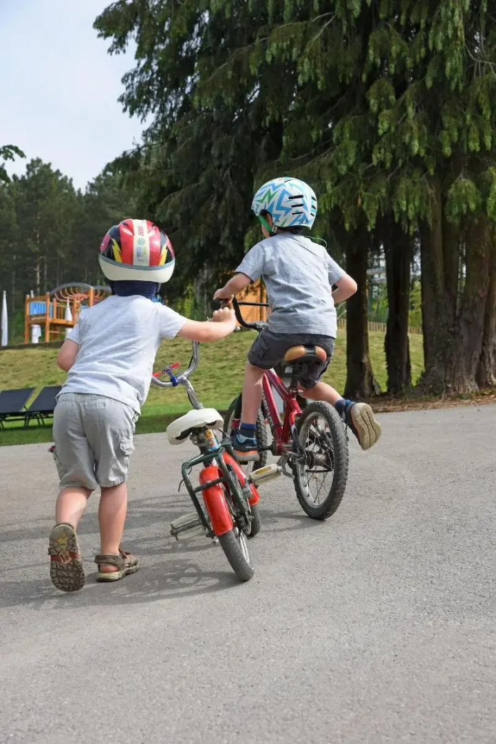 Mont-des-Pins Dennenheuvel