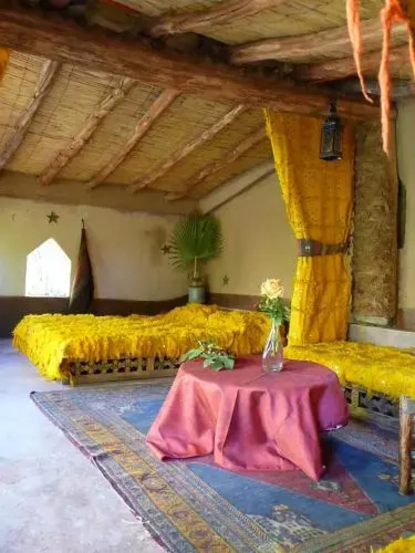 Le Chant Des Palmiers