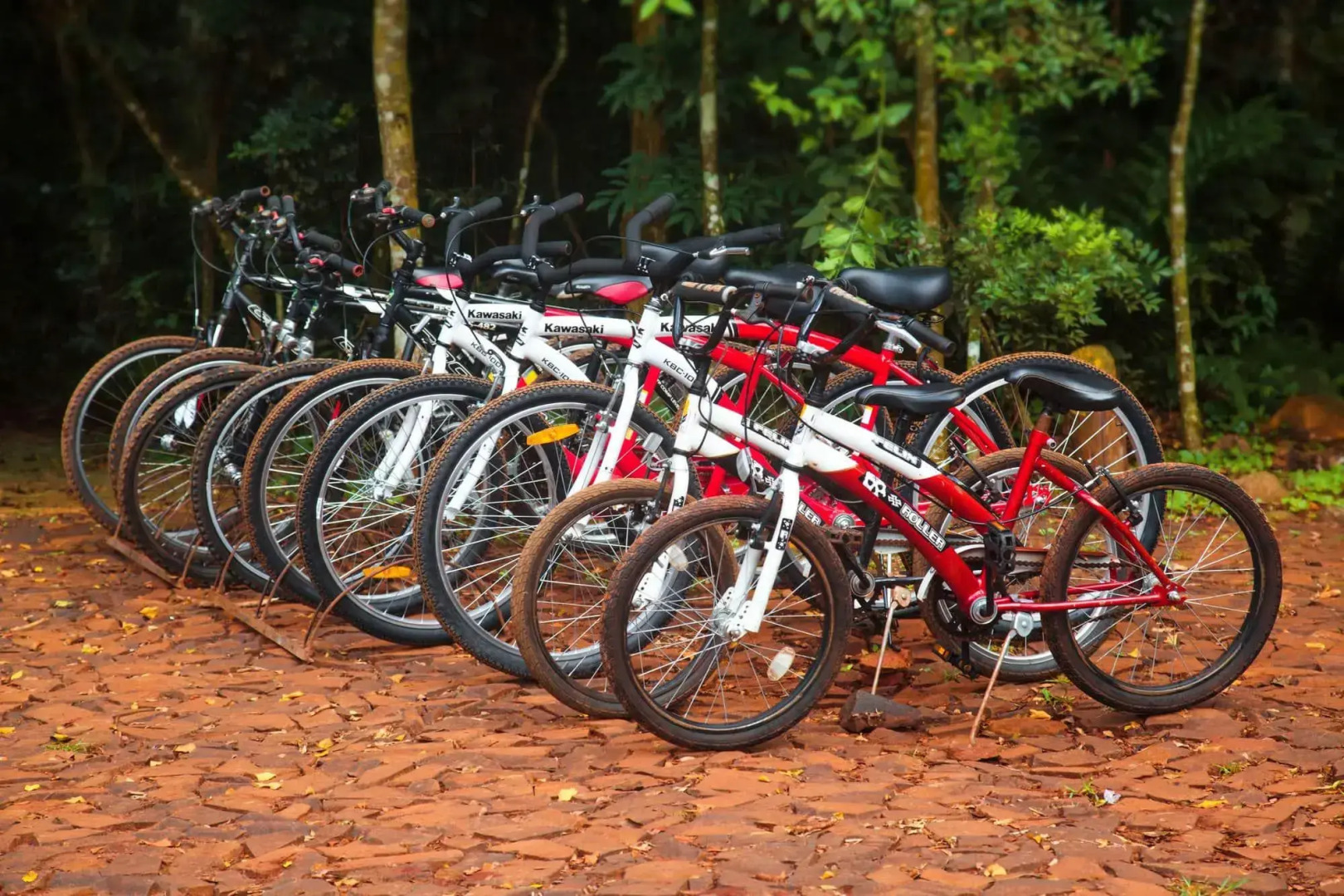 La Reserva Virgin Lodge