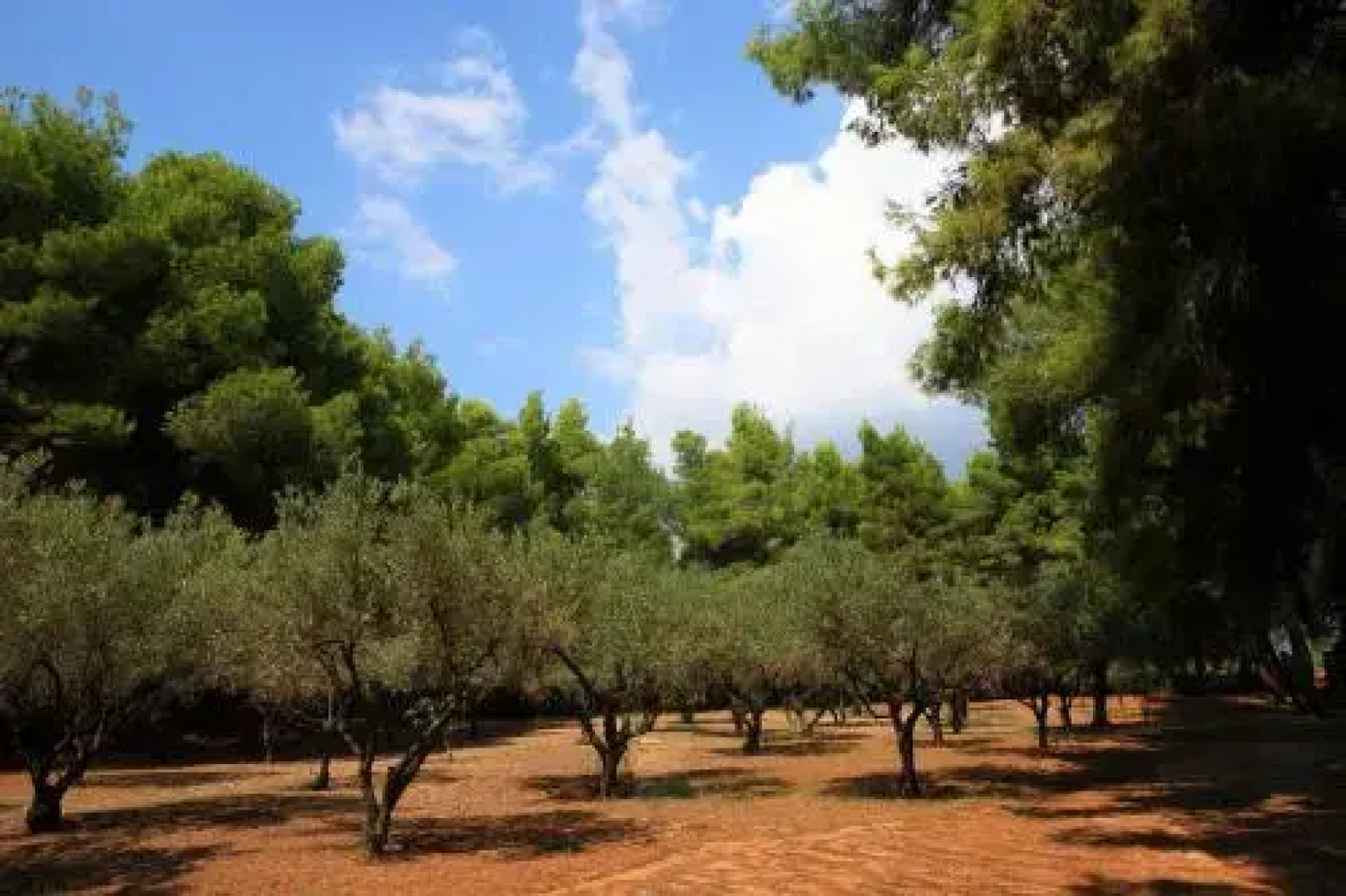 Squirrel Beach Front Villa, Metamorfosi