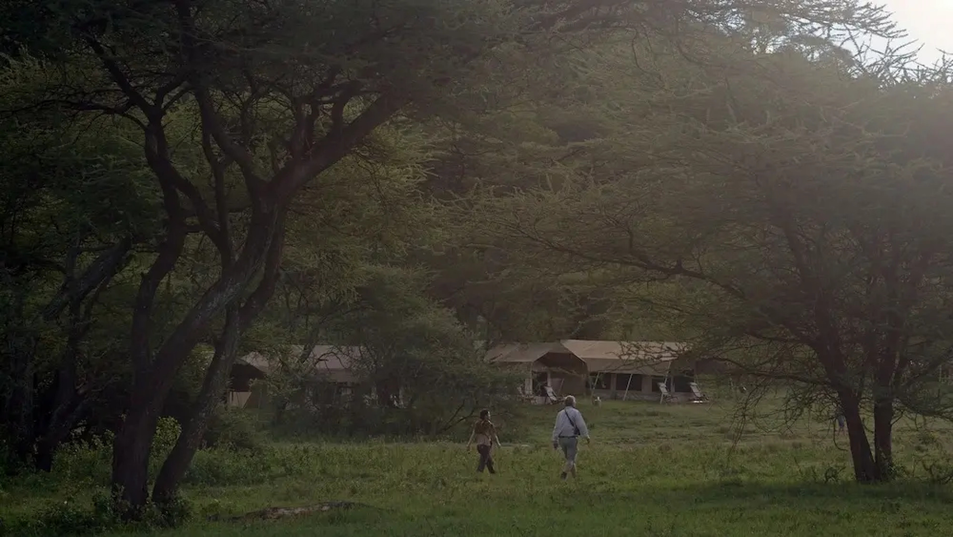 Matembezi Safari Lodge