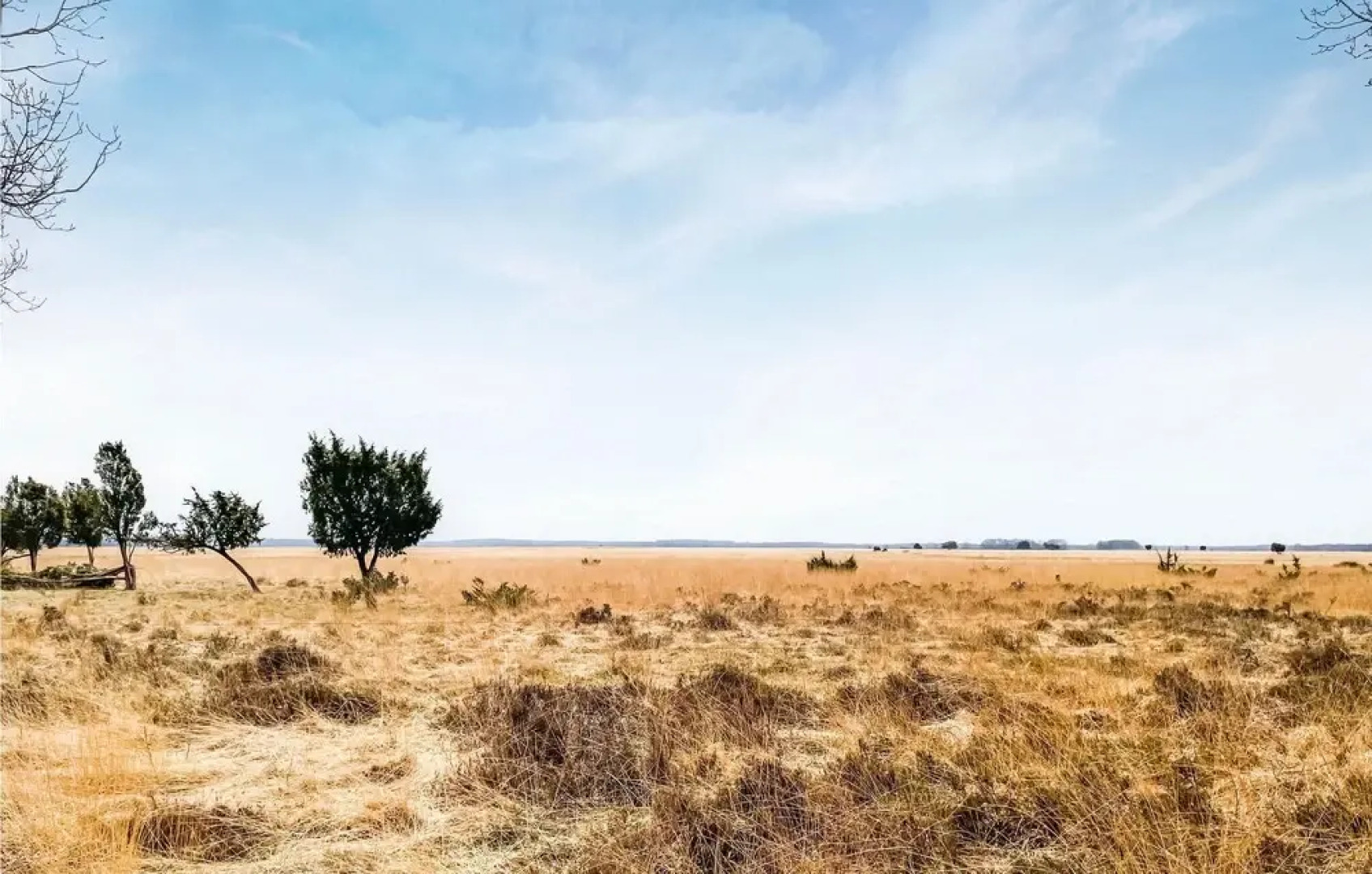 Amazing Home in Dwingeloo With Wifi and 2 Bedrooms