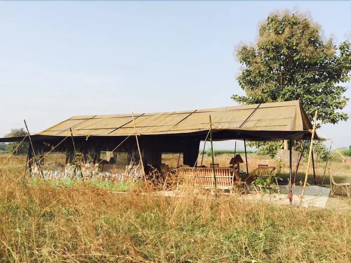 The GrassWalk M A Y A