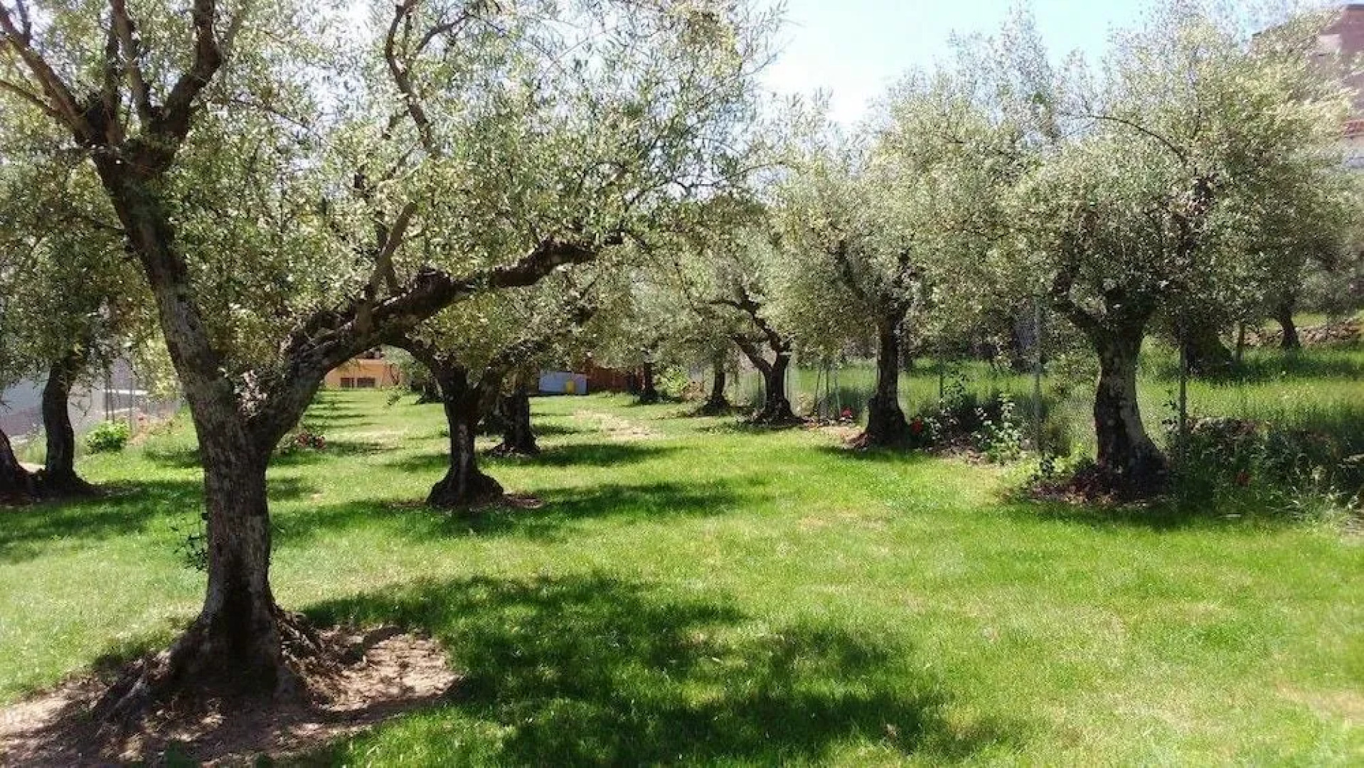 Campamento Los Tres Picos de La Vera