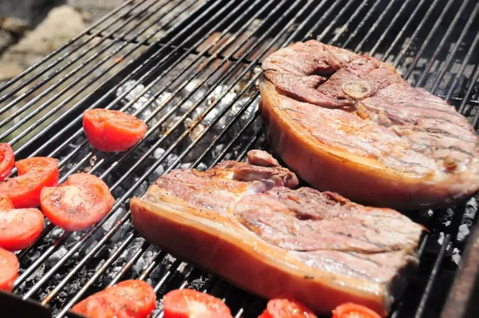 House With 2 Bedrooms in Limeuil, With Wonderful City View and Enclose