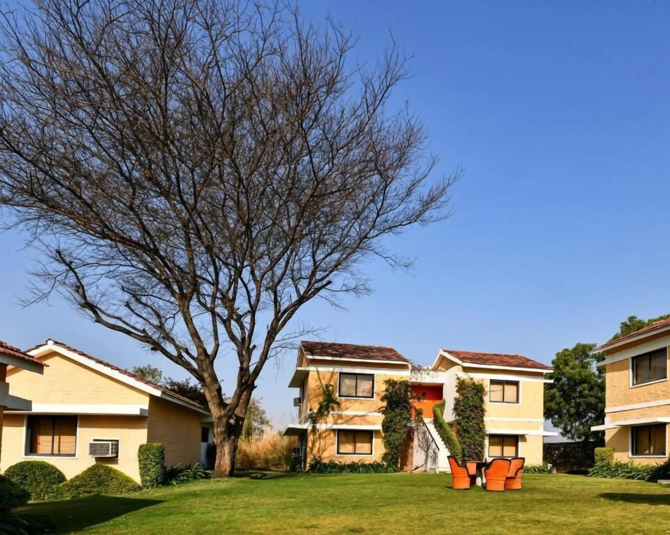 Clarks Safari Pushkar