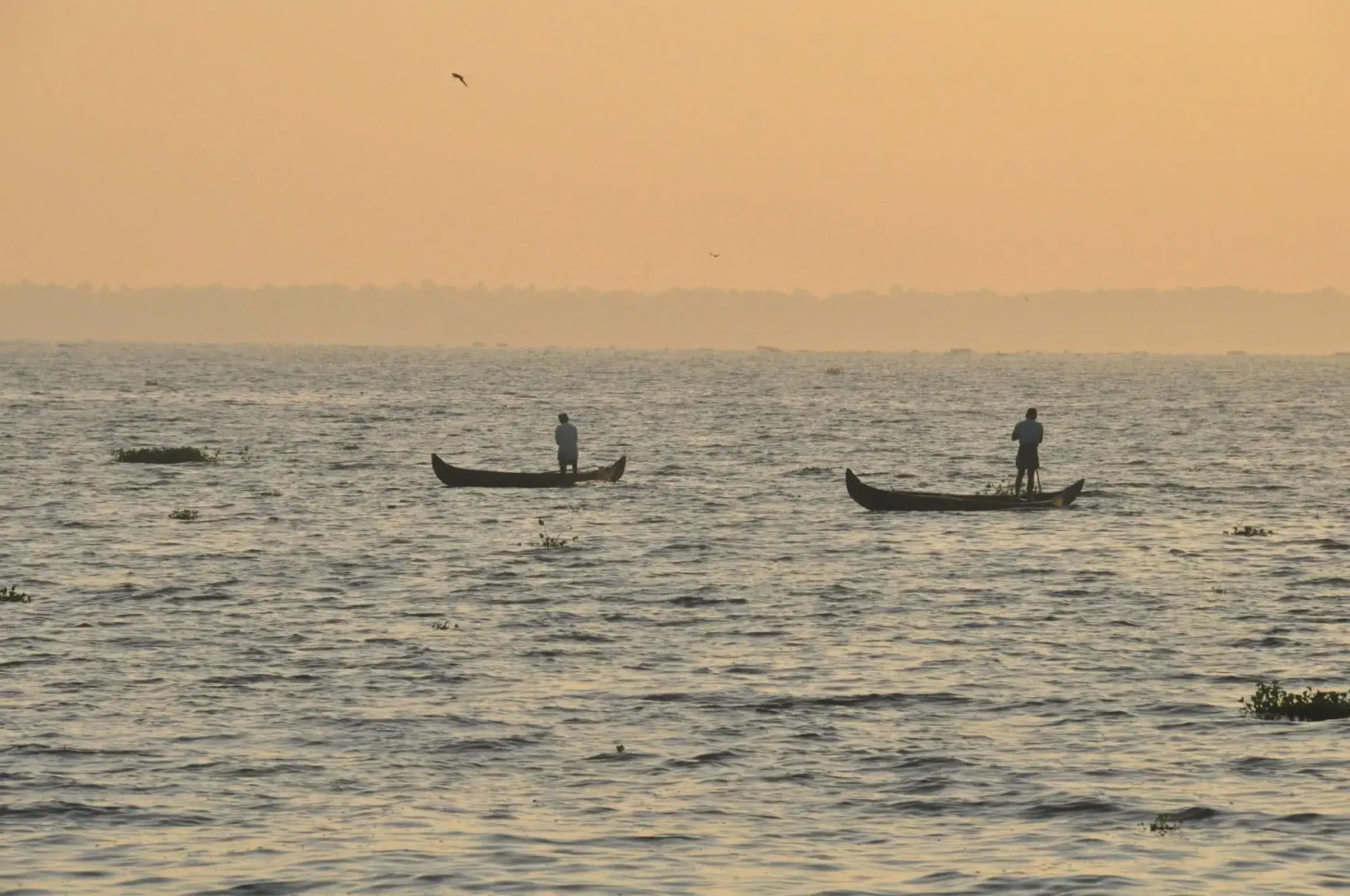 Deshadan Backwater Resort