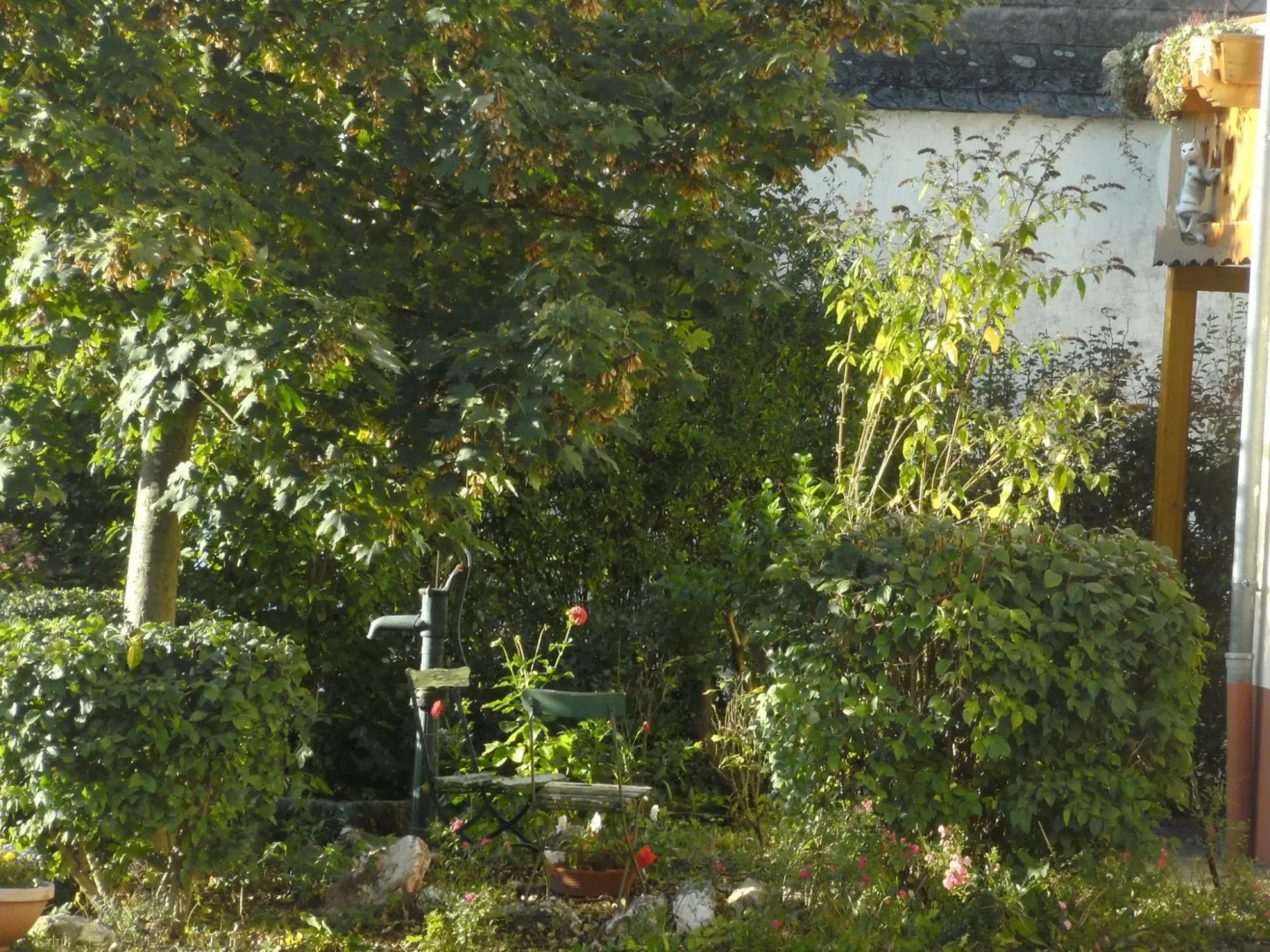 Apartment With Animal zoo and sun Terrace