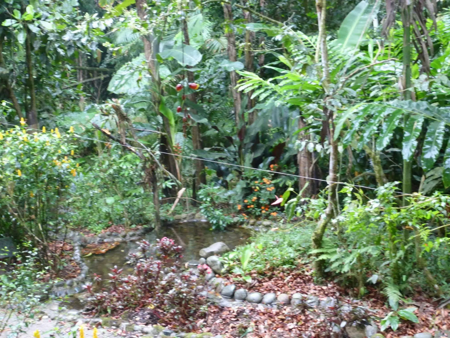 Casa Divina Eco Lodge