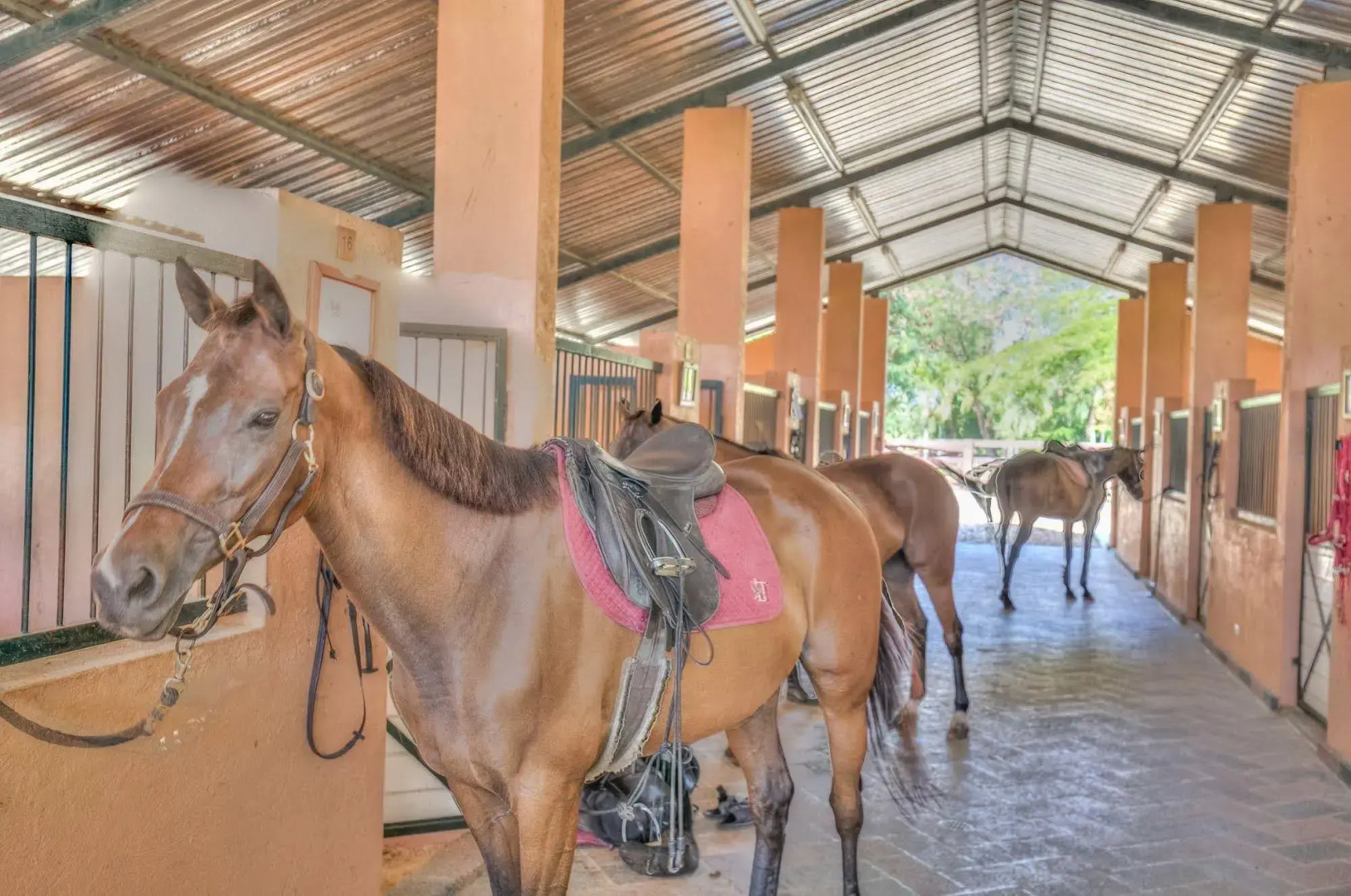 Sea Horse Ranch Luxury Resort