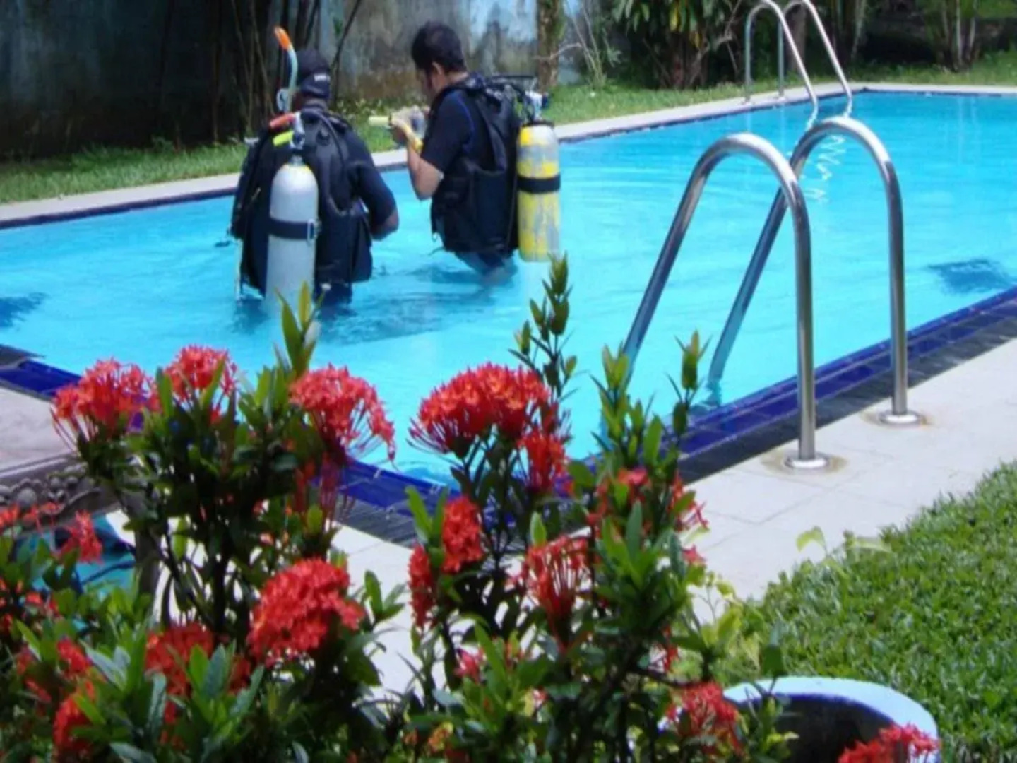 Black Beauty Guesthouse