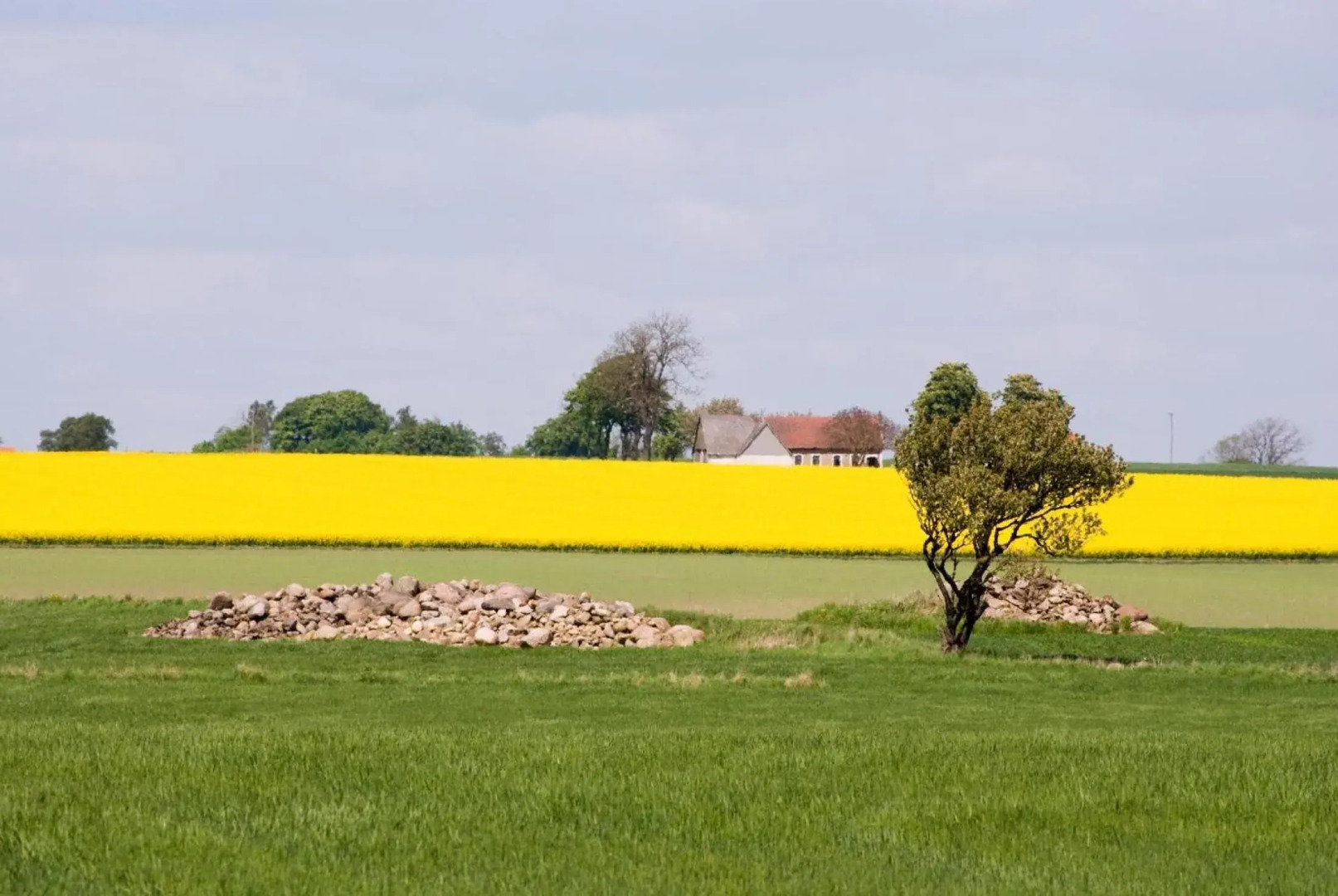 Österlens Karlsgård