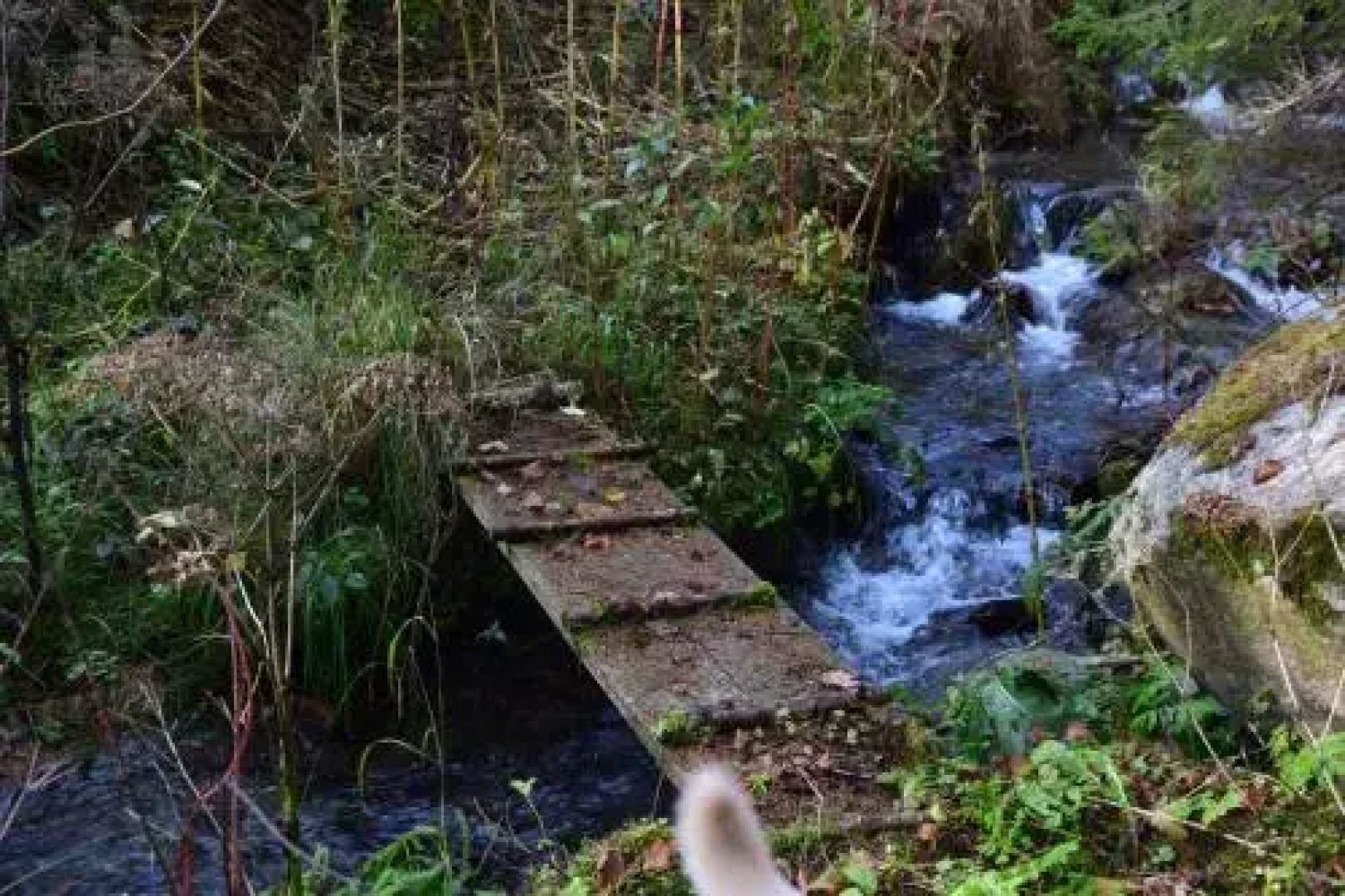 Apartment gmiatlich Wohnen