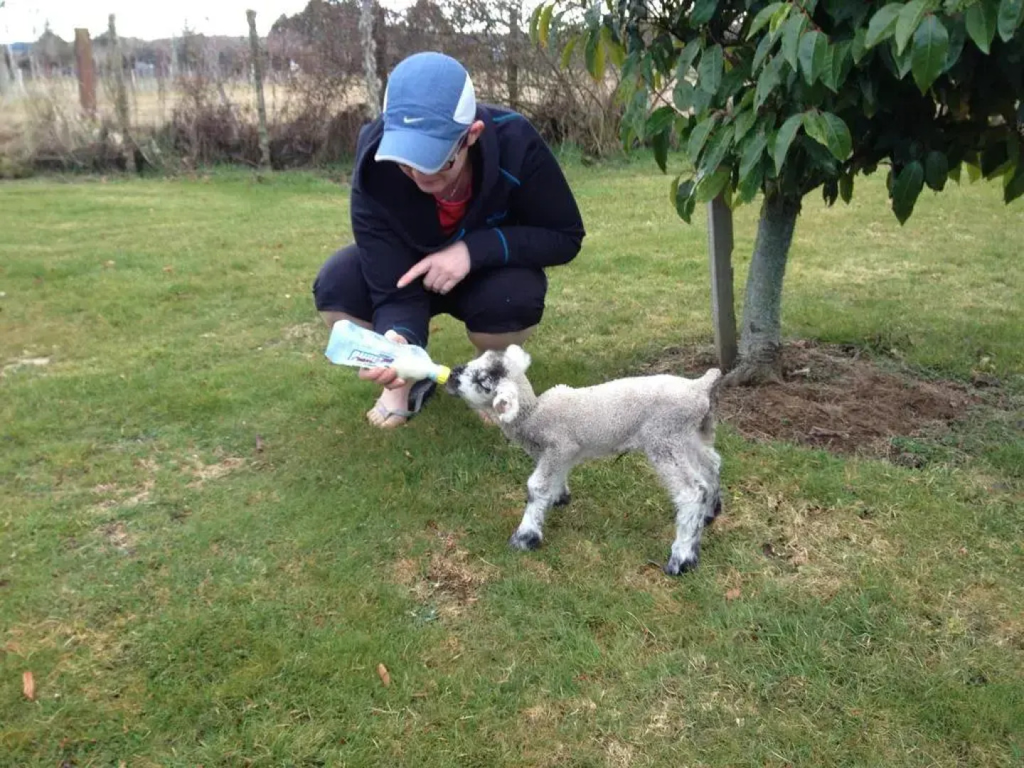 Ruapehu Country Lodge