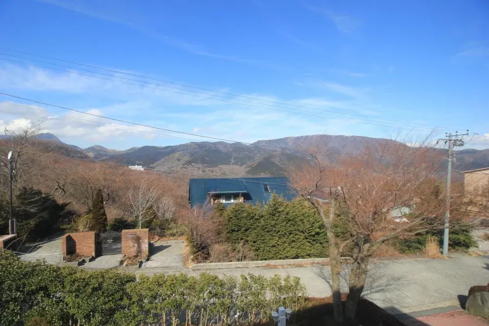 Hakone Gora Guam Dog
