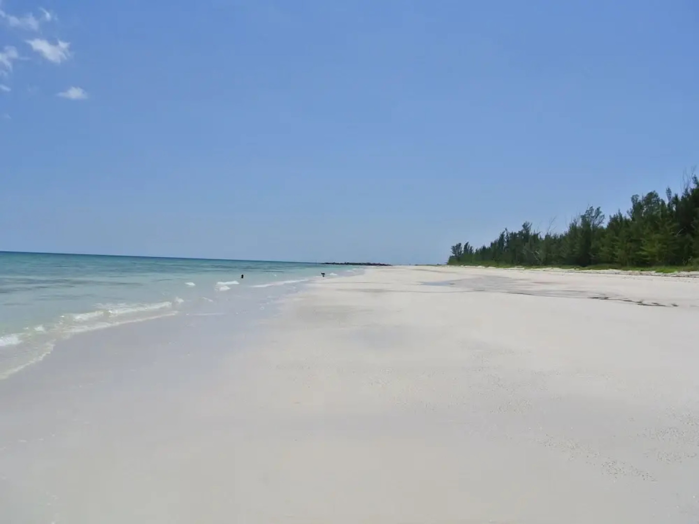 Tyne Beach Terrace Apartments & Houses
