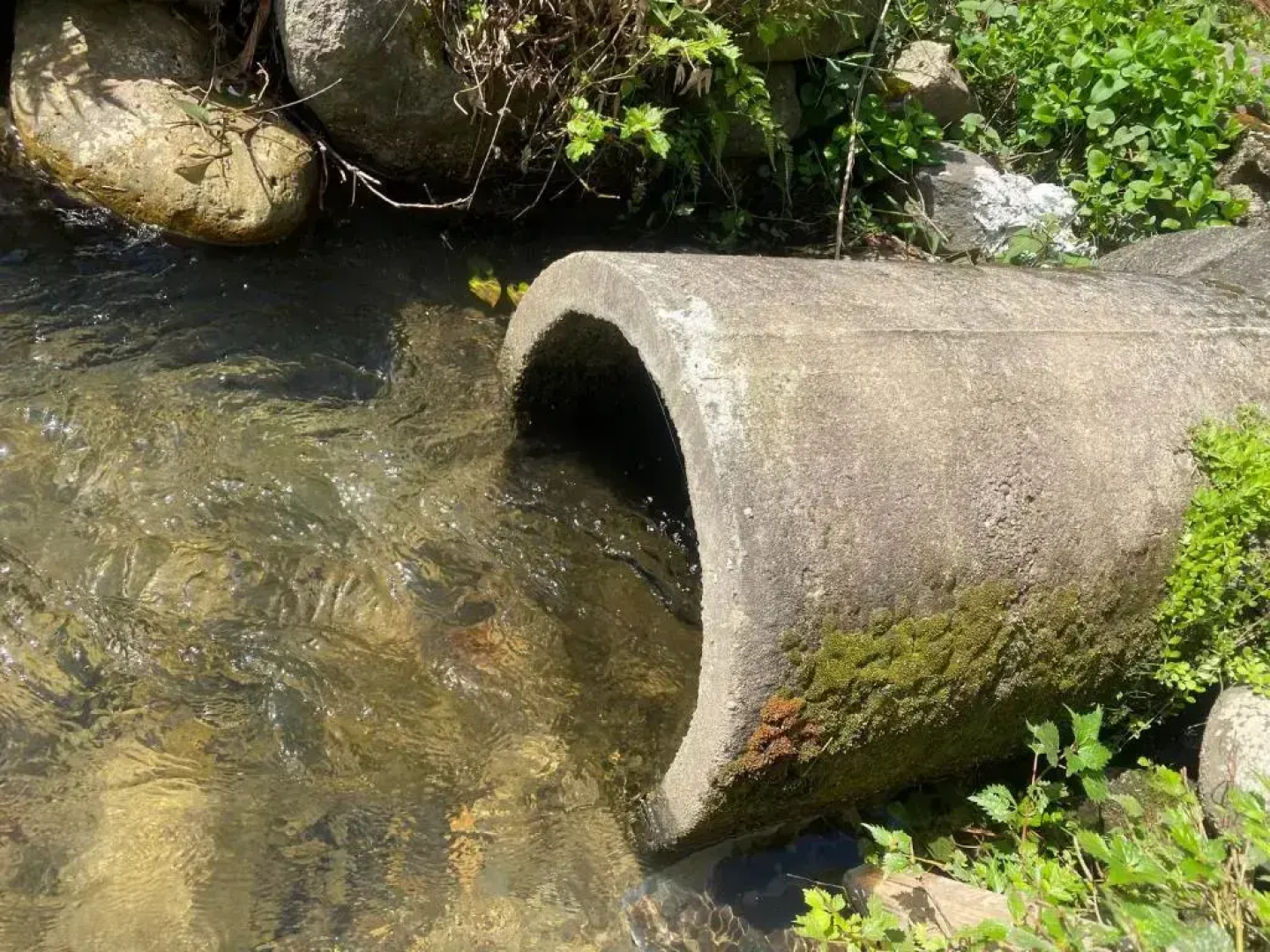 Takeyashiki たけやしき