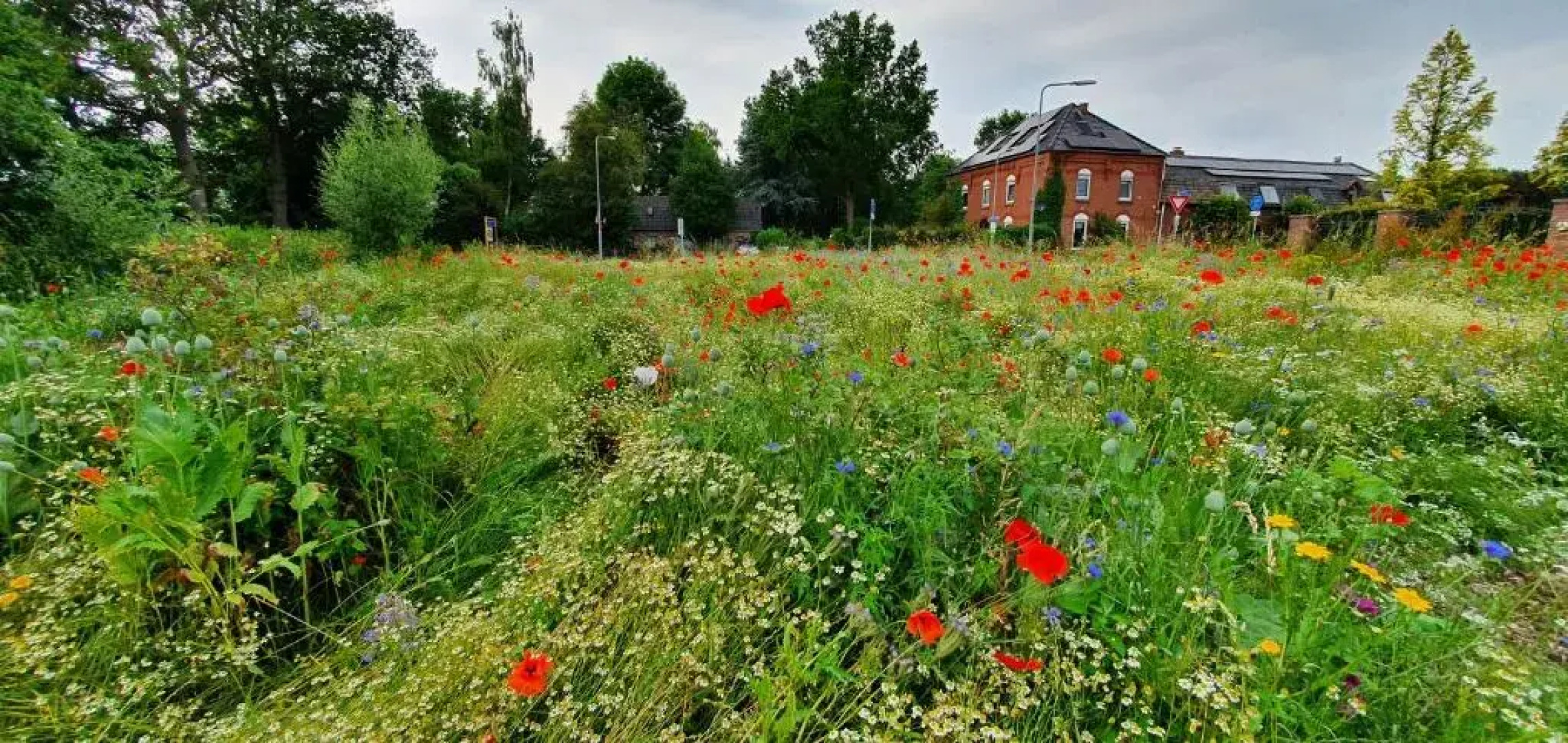 Art, Bed & Breakfast