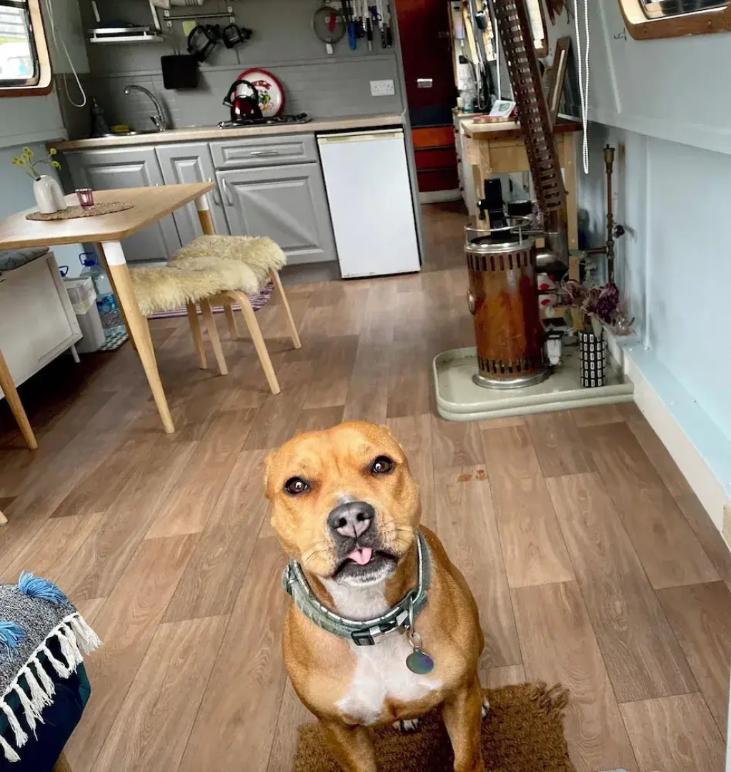 5 Star Stunning Houseboat, no Experience Required! Enjoy the Most Romantic Trip!