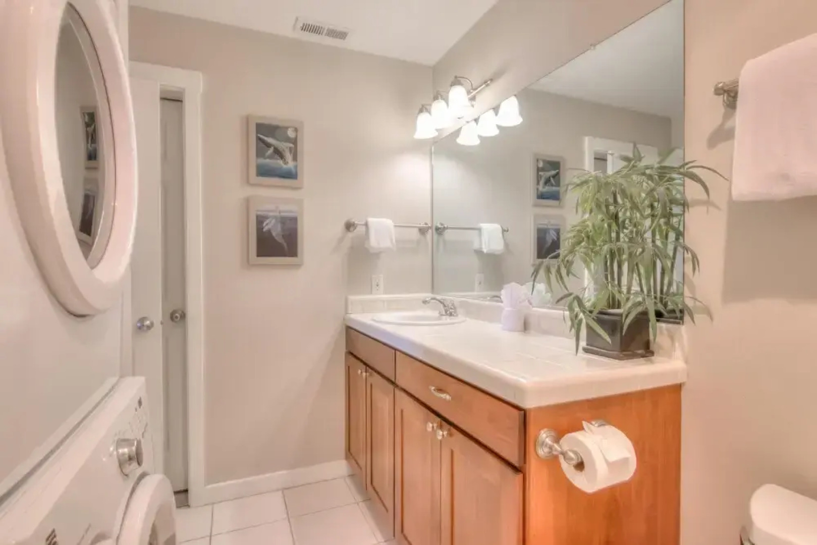 Sea Star Bella Beach