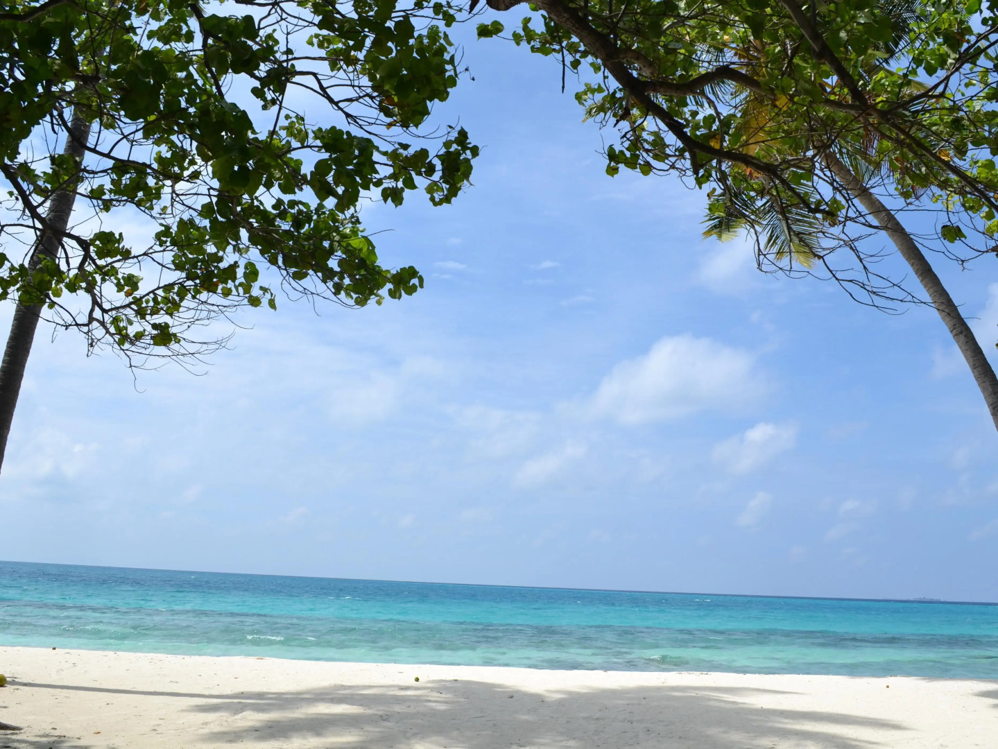 TME Retreats Dhigurah