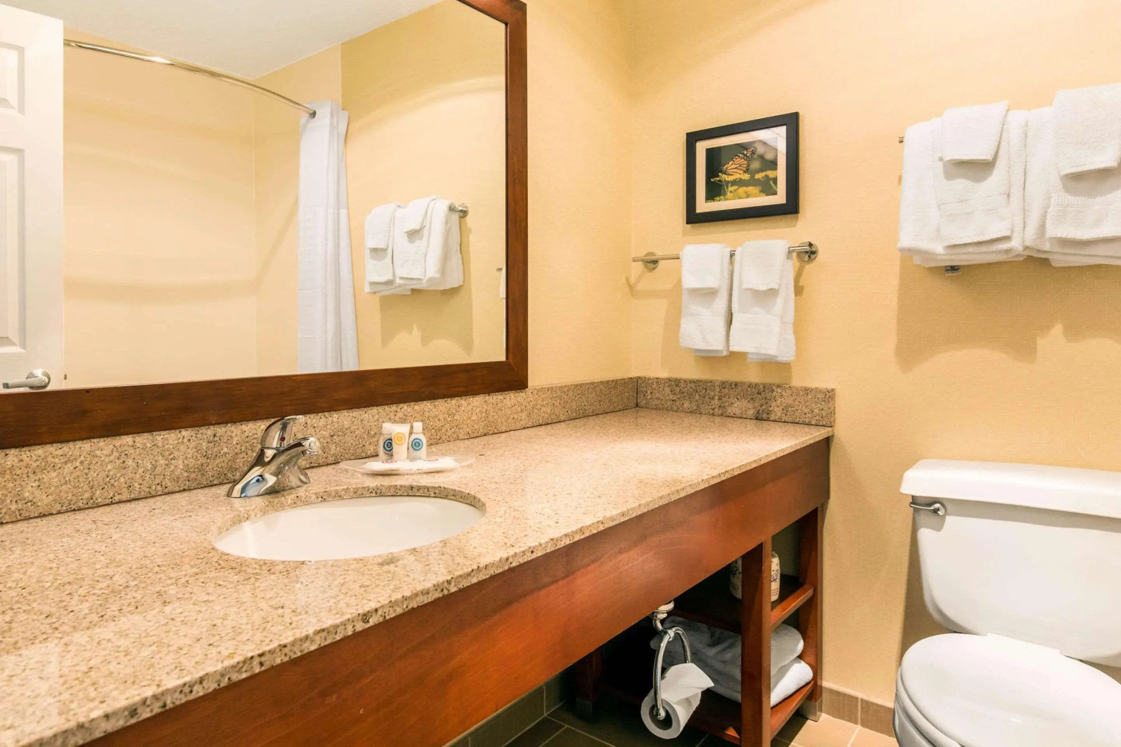 Comfort Suites Normal University area