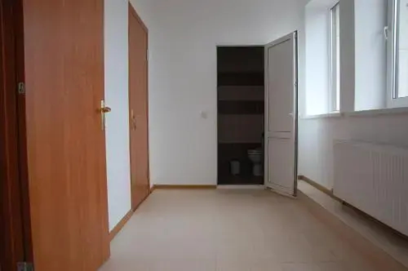 Dalekobiynyk
