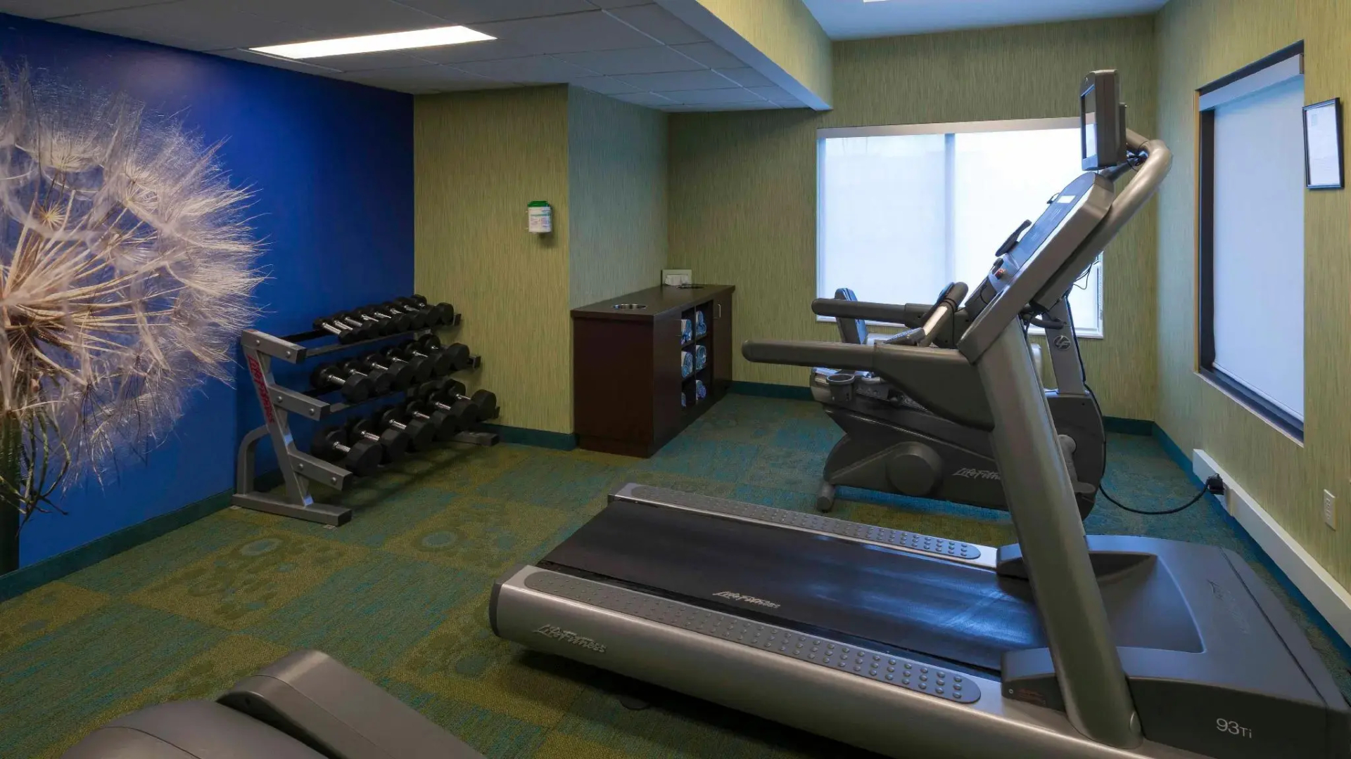 Springhill Suites By Marriott Bolingbrook